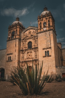 A large building with a cactus in front of it
