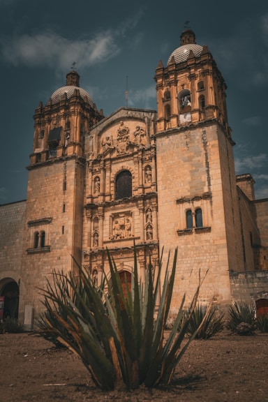 A large building with a cactus in front of it