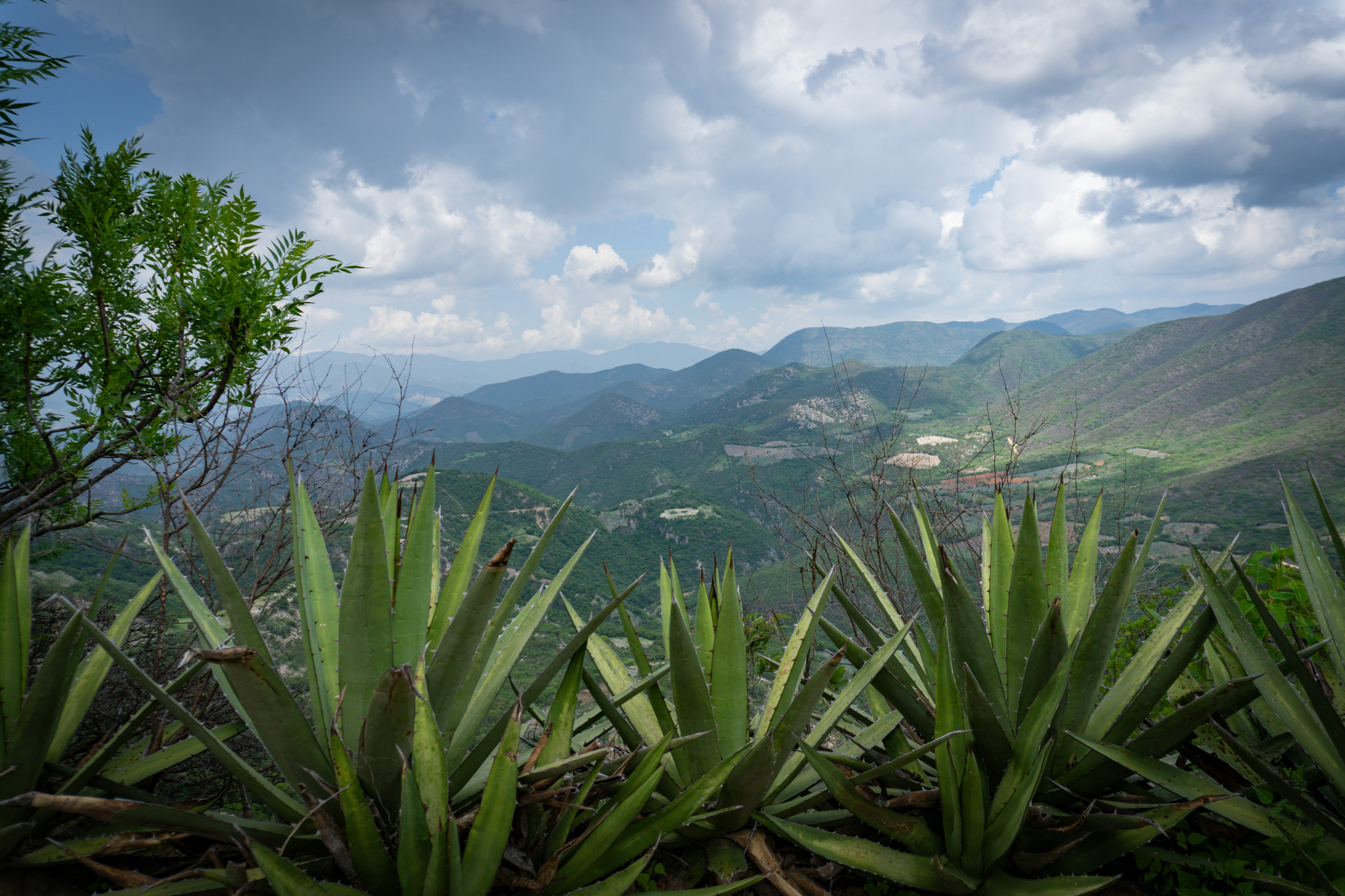 A view of a valley with mountains in the background