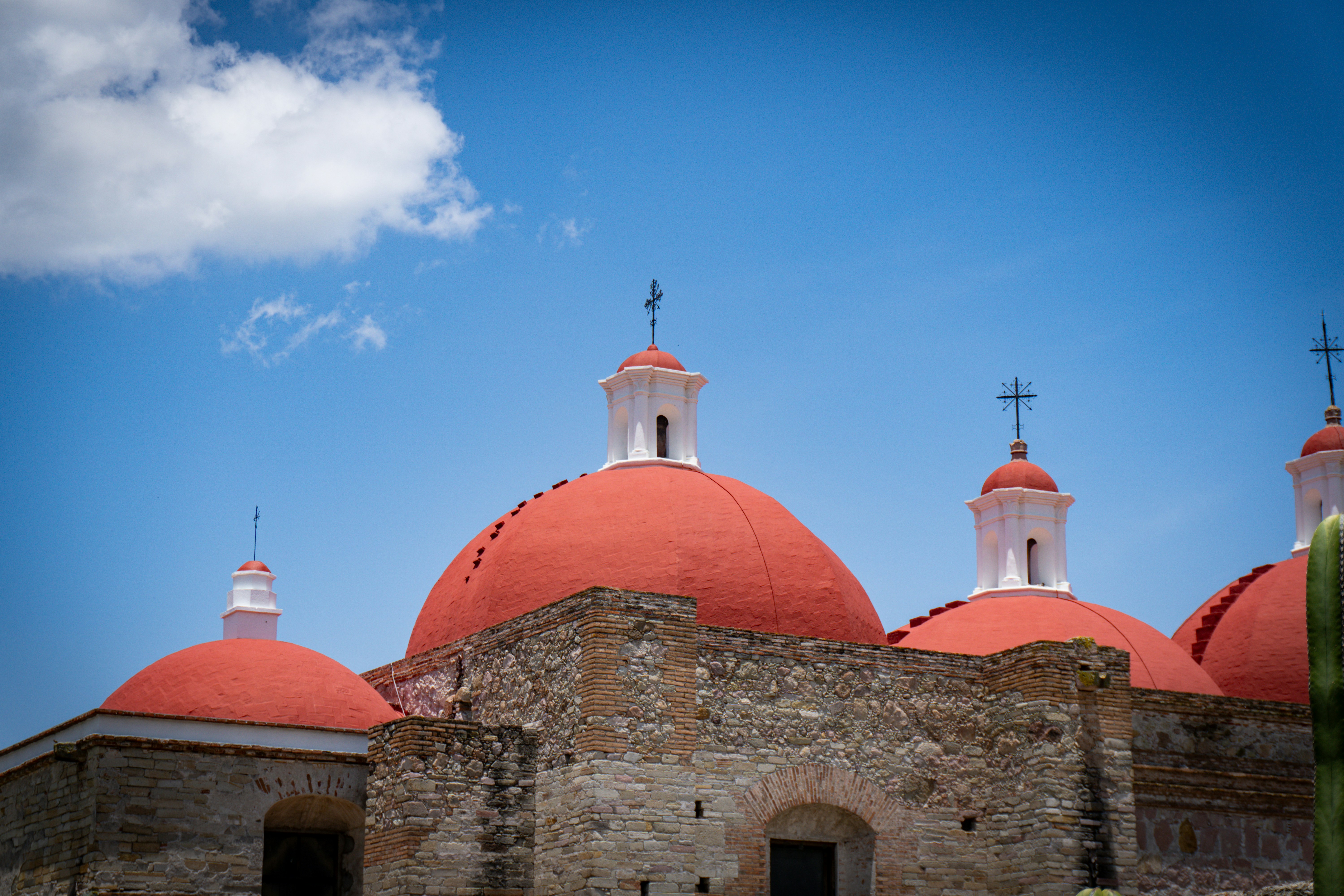 Photo by José Castillo