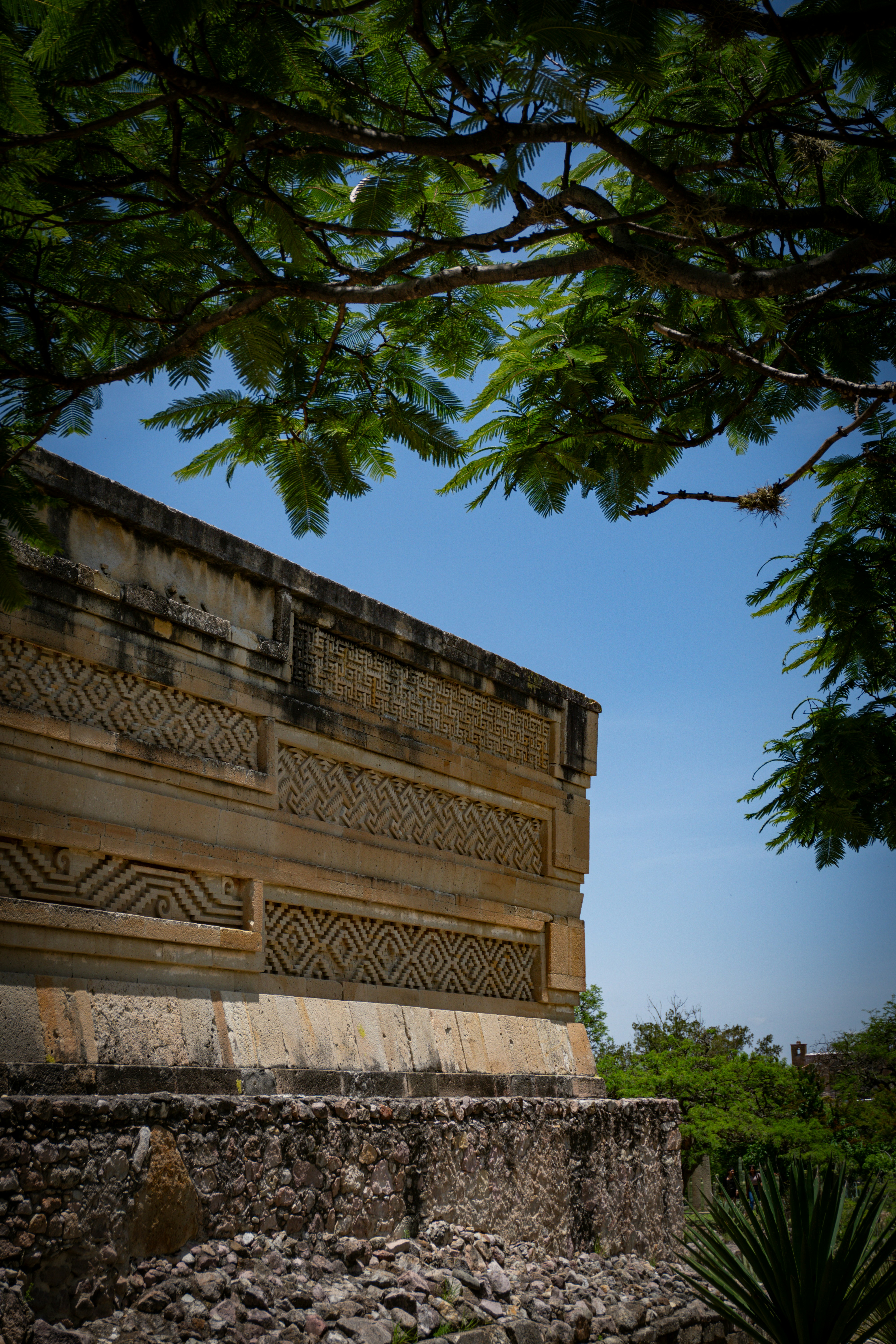 A stone wall with a tree in the background