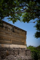 A stone wall with a tree in the background