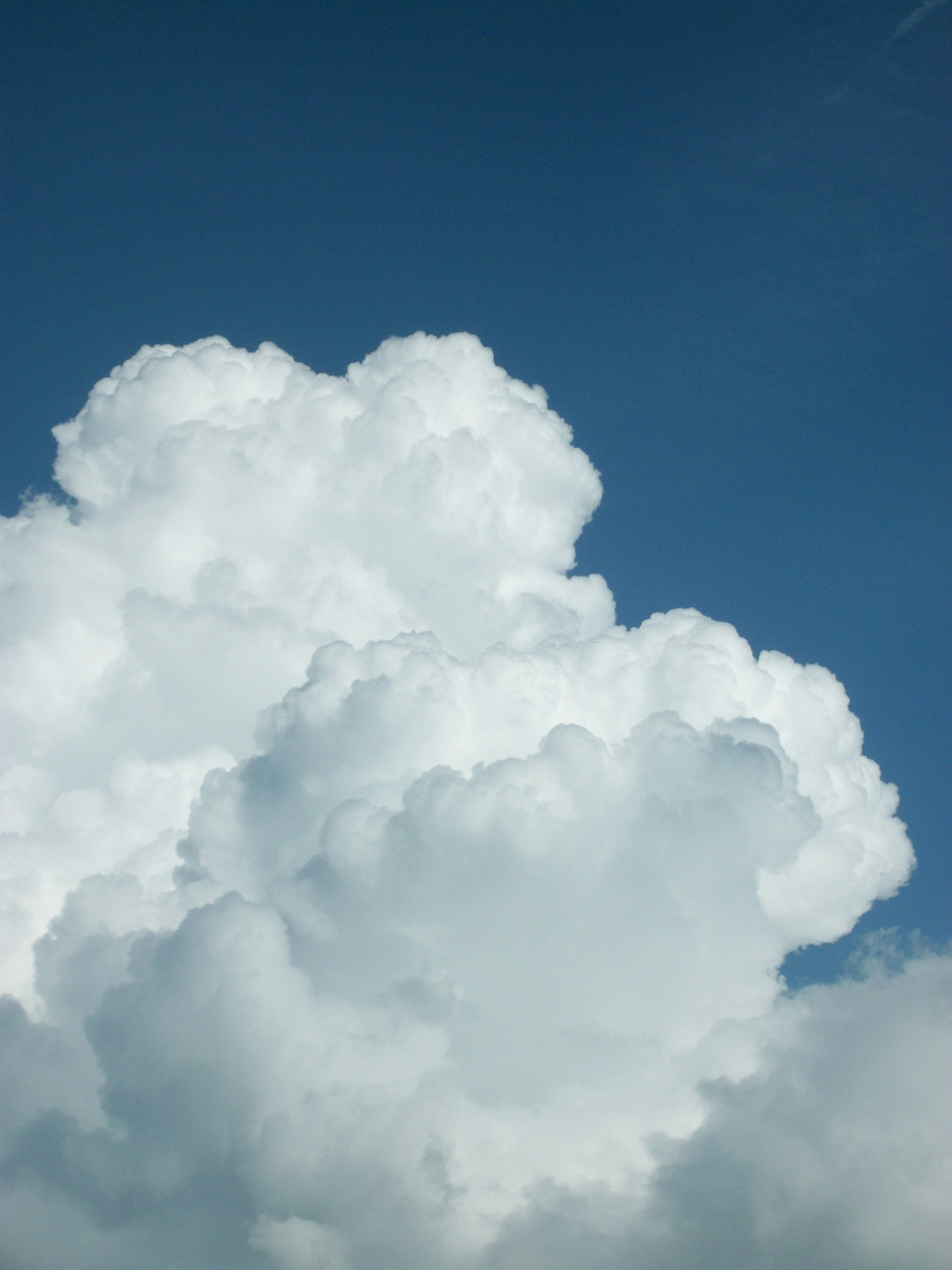 Photo by rockiestplot