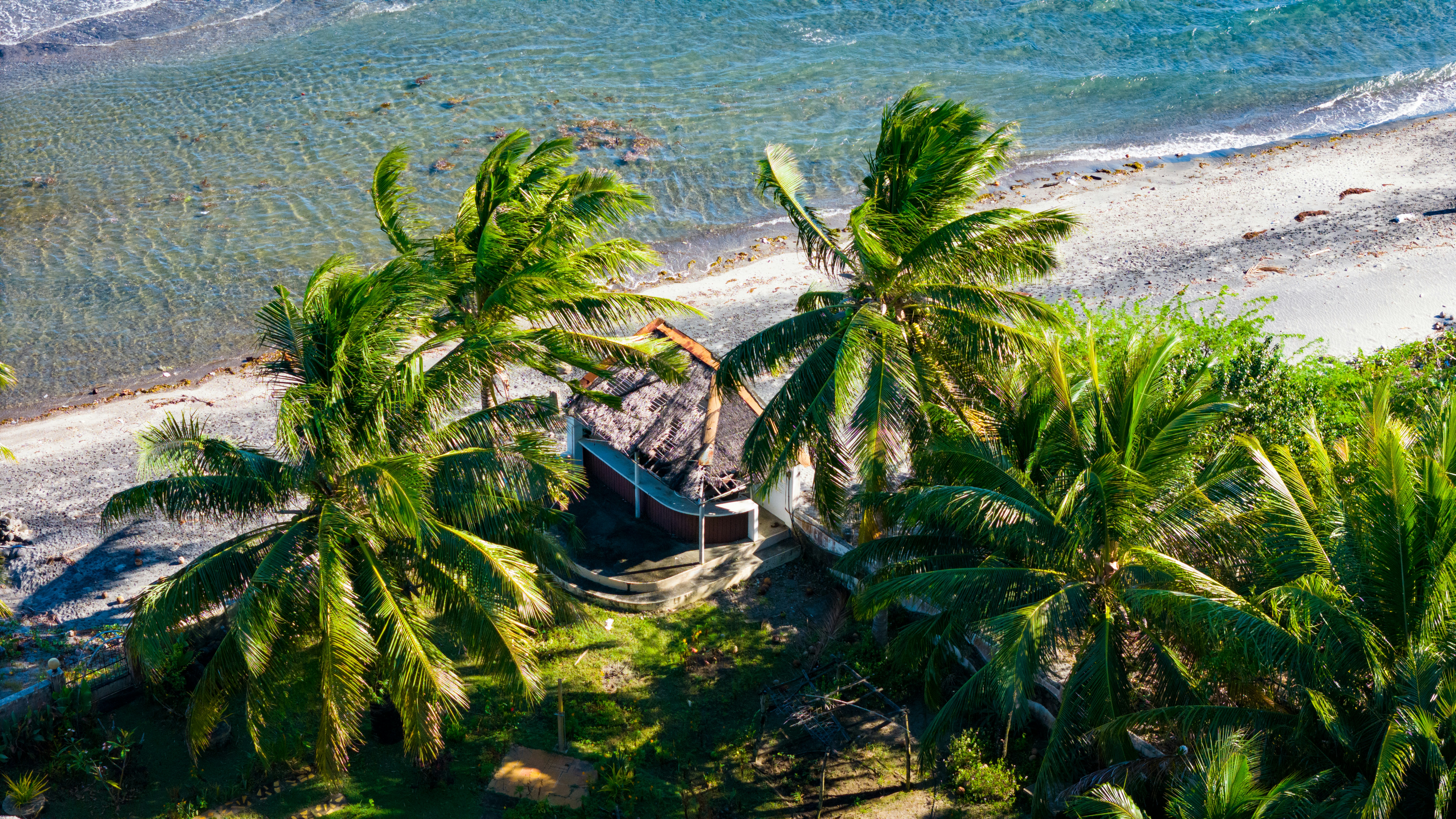 Vista Aerea De Uma Praia Com Palmeiras cArUZmt2Wfc