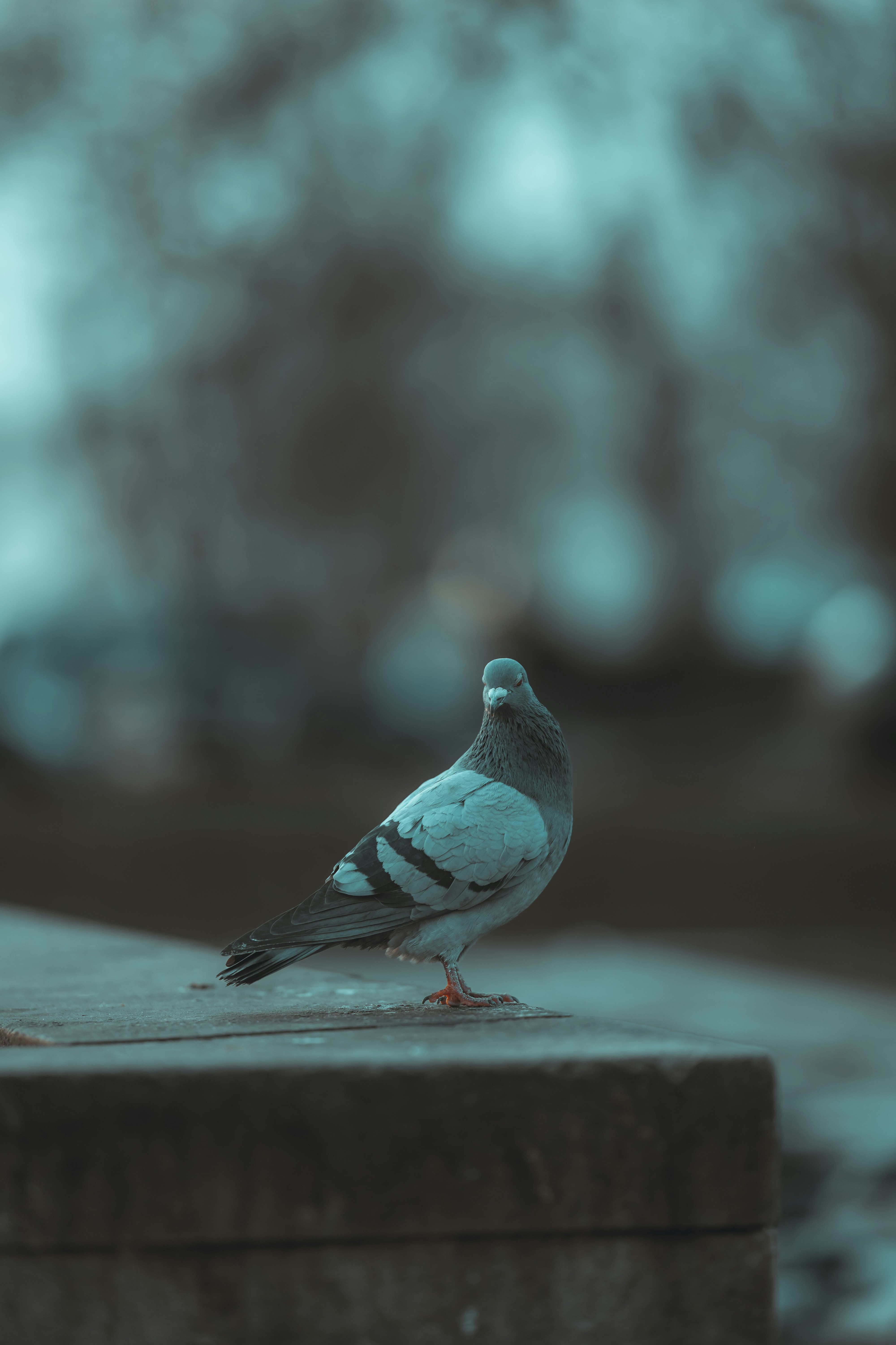 Photo by omarvellous14