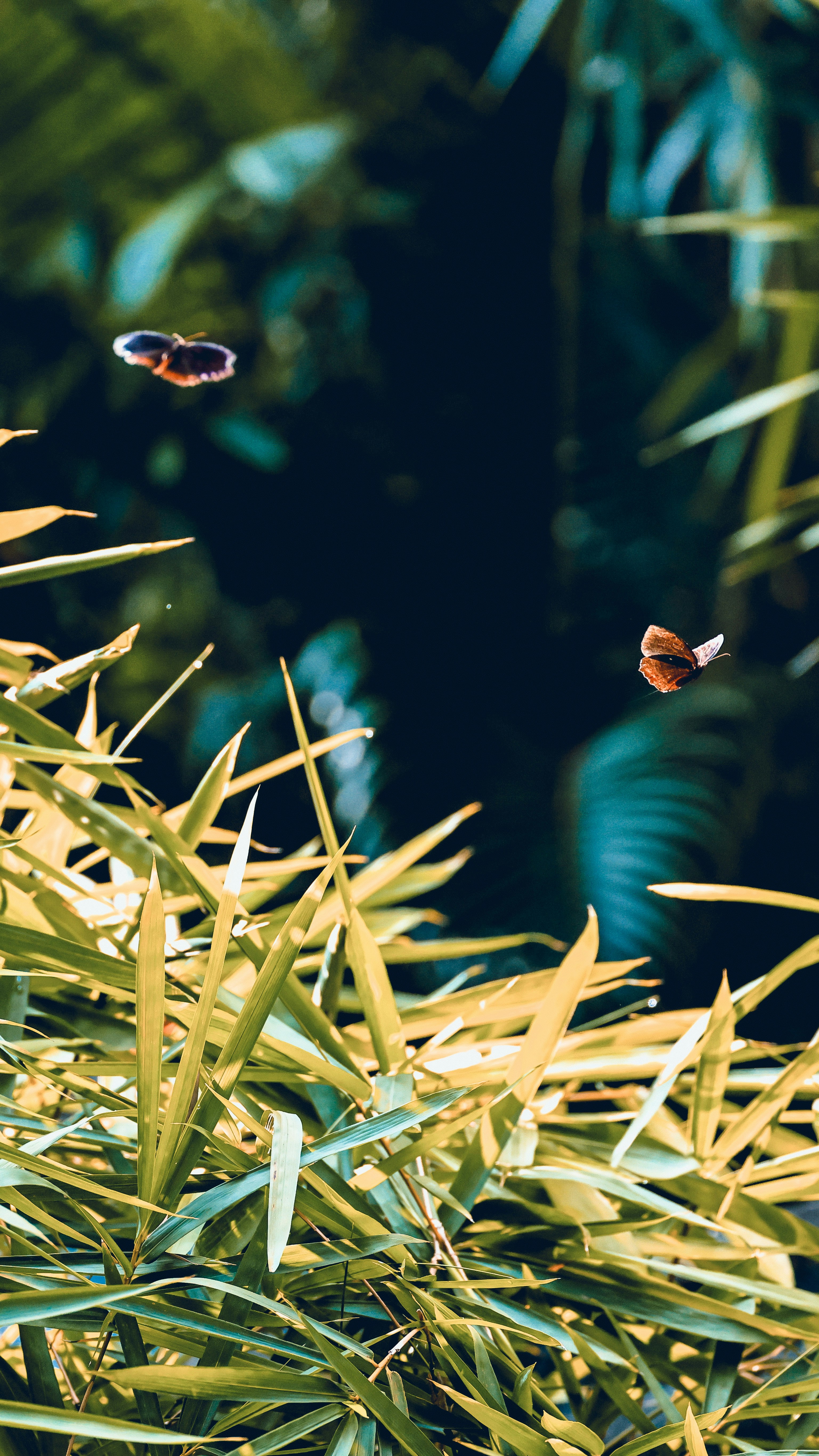 Photo by dickenslin76