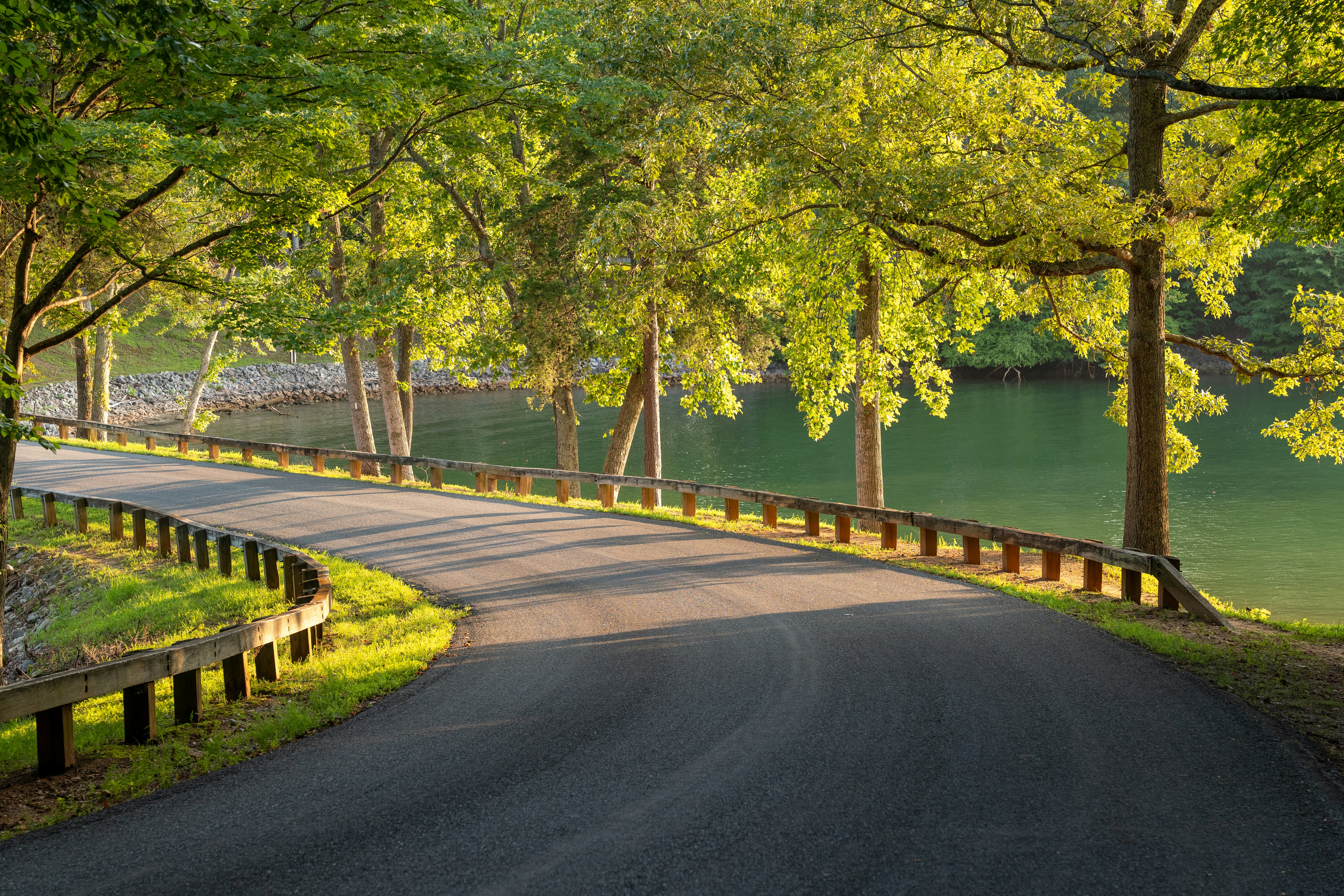 A winding road with trees lining the sides of it
