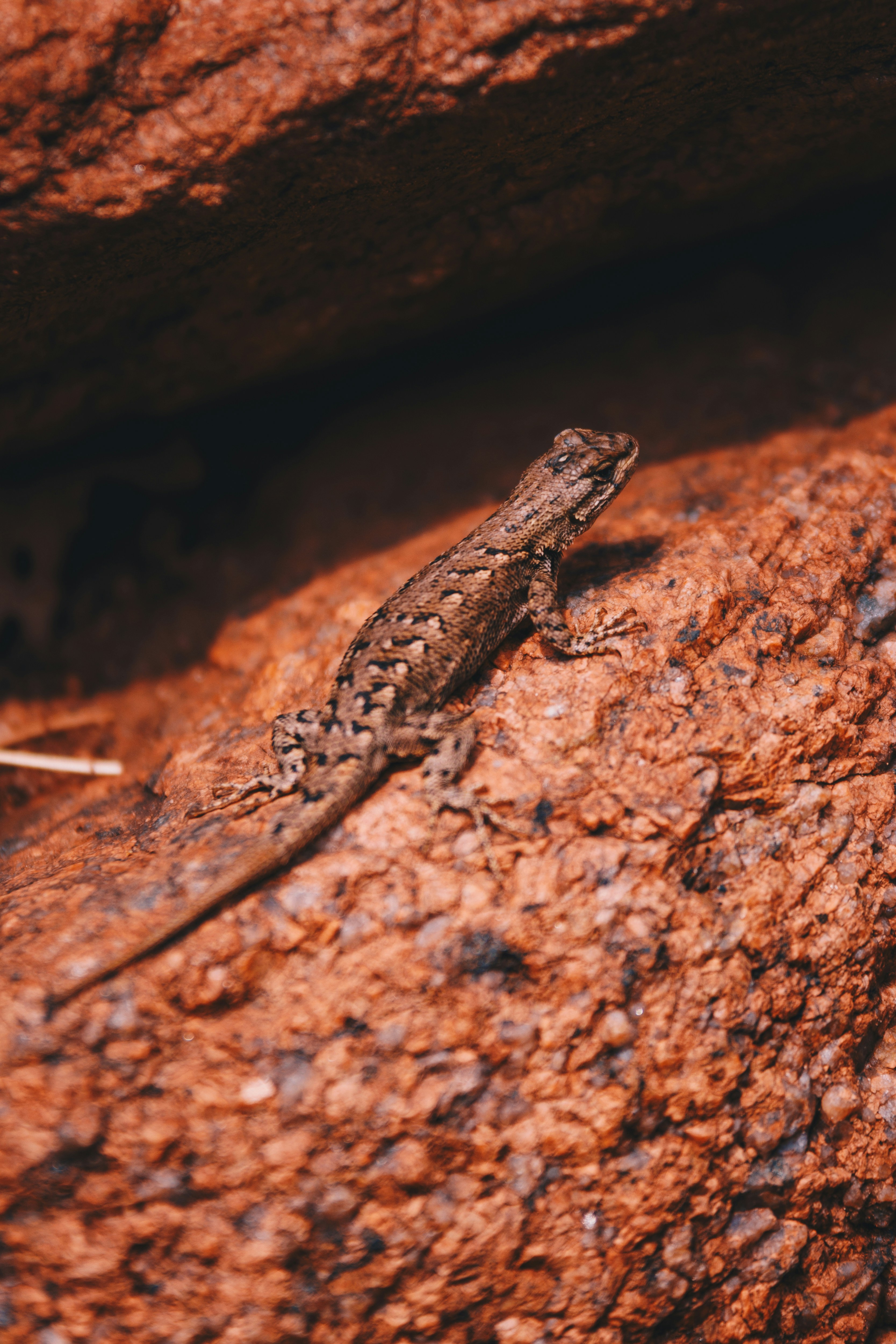 Photo by storywright