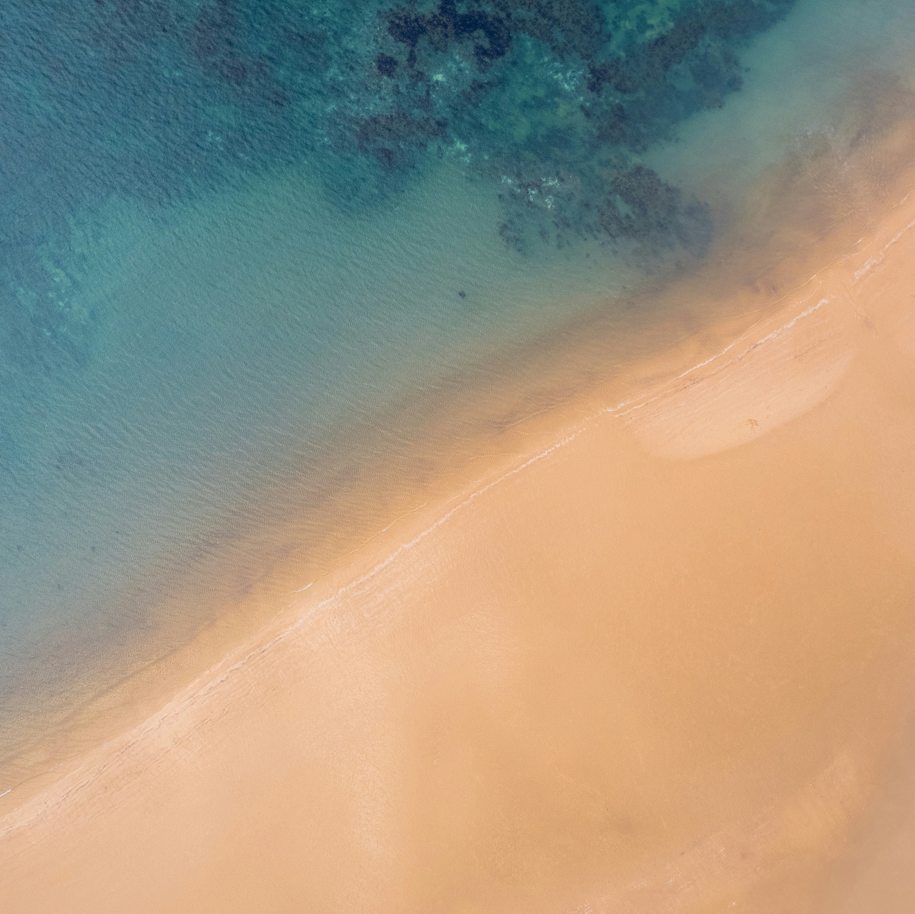 Photo by harryborrettphotography