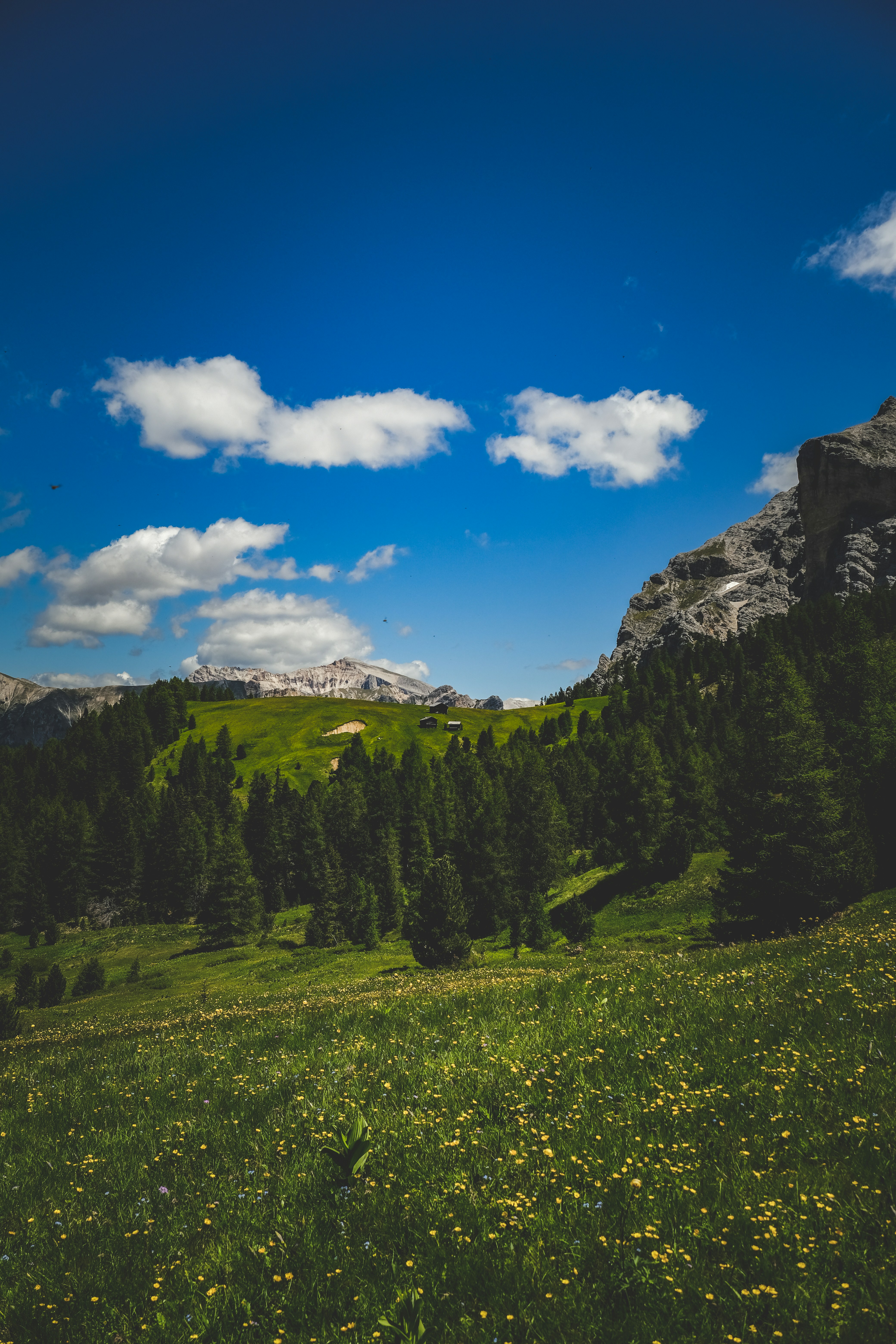 Photo by francesco_ungaro