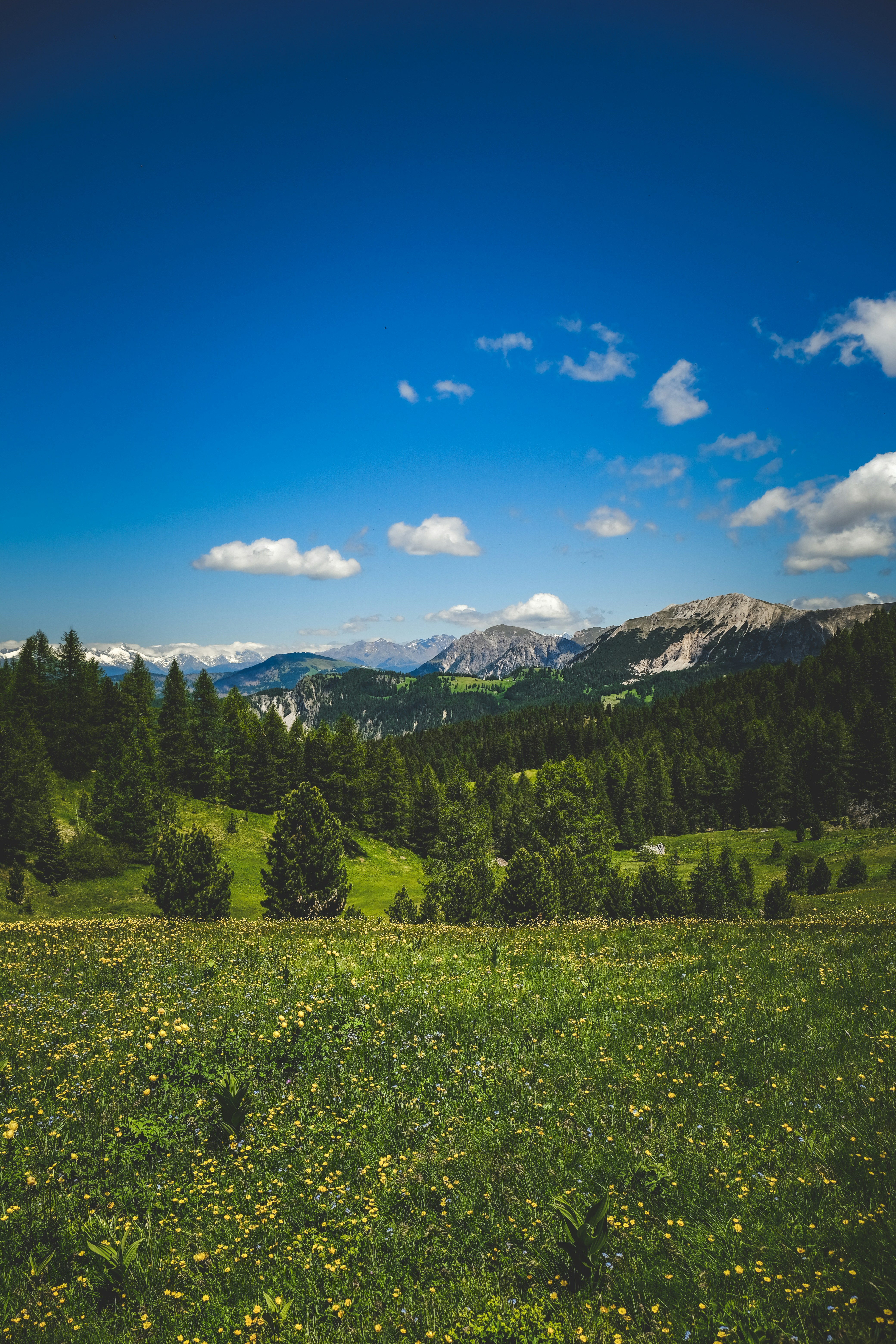 Photo by francesco_ungaro