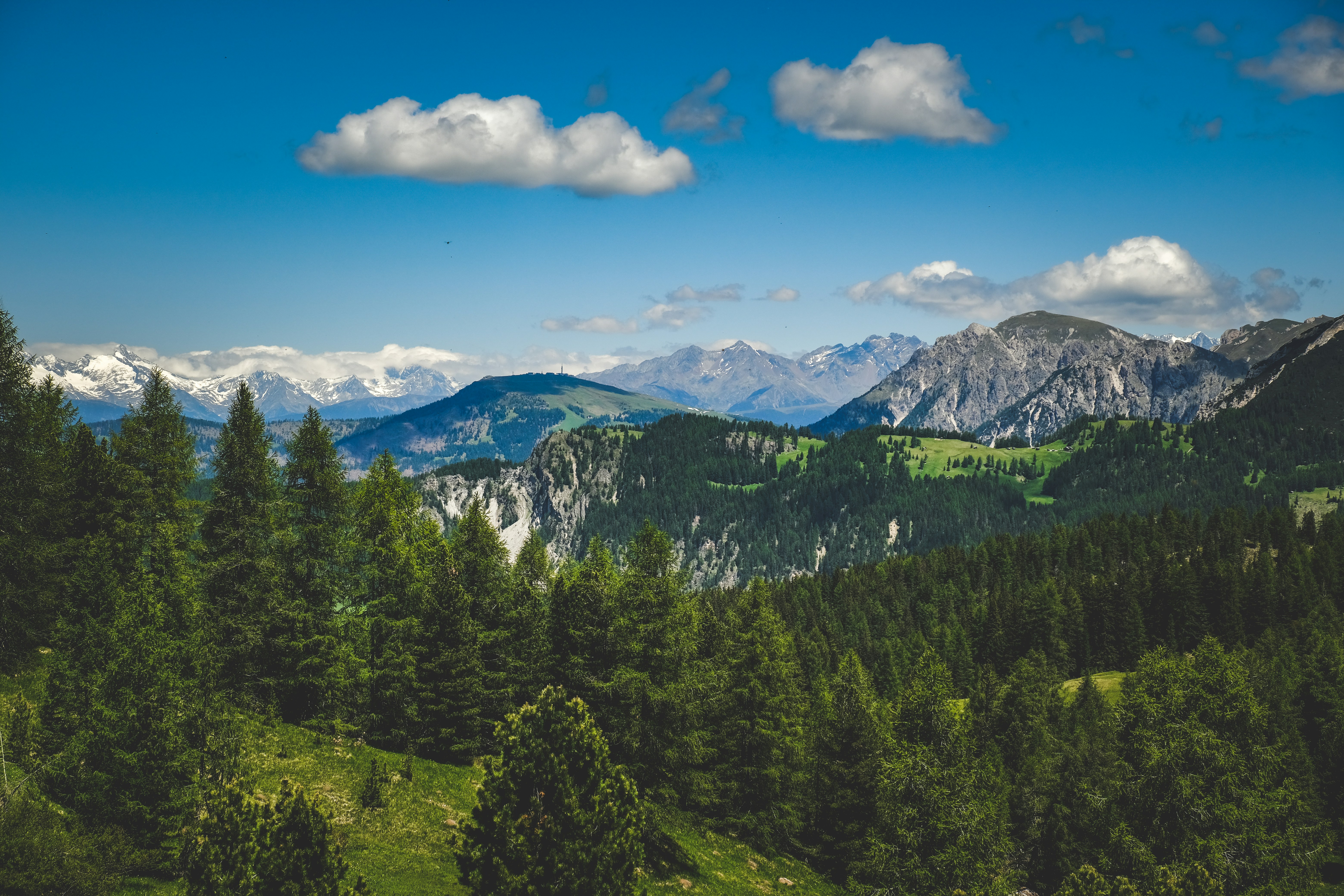 Photo by francesco_ungaro