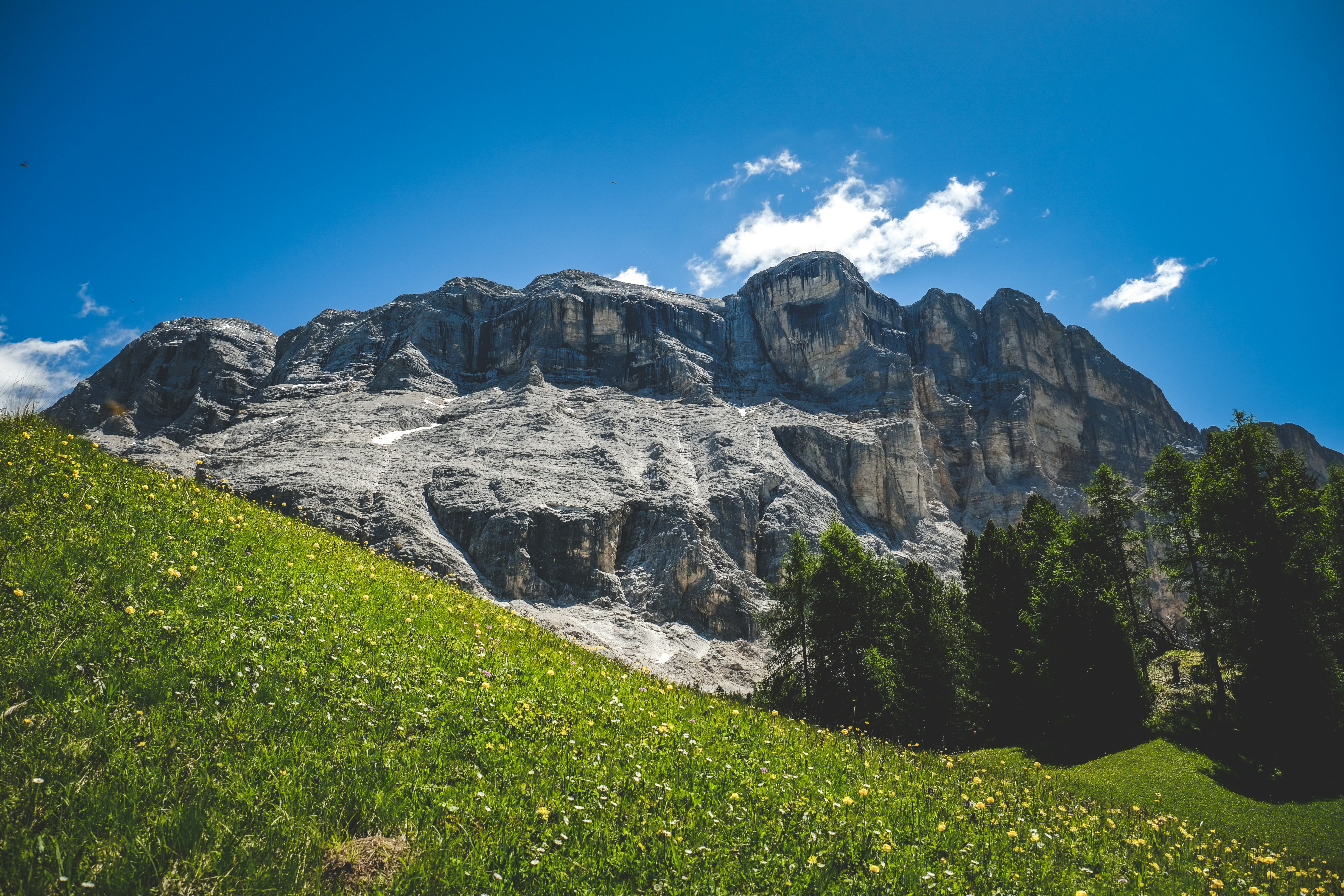 Photo by francesco_ungaro