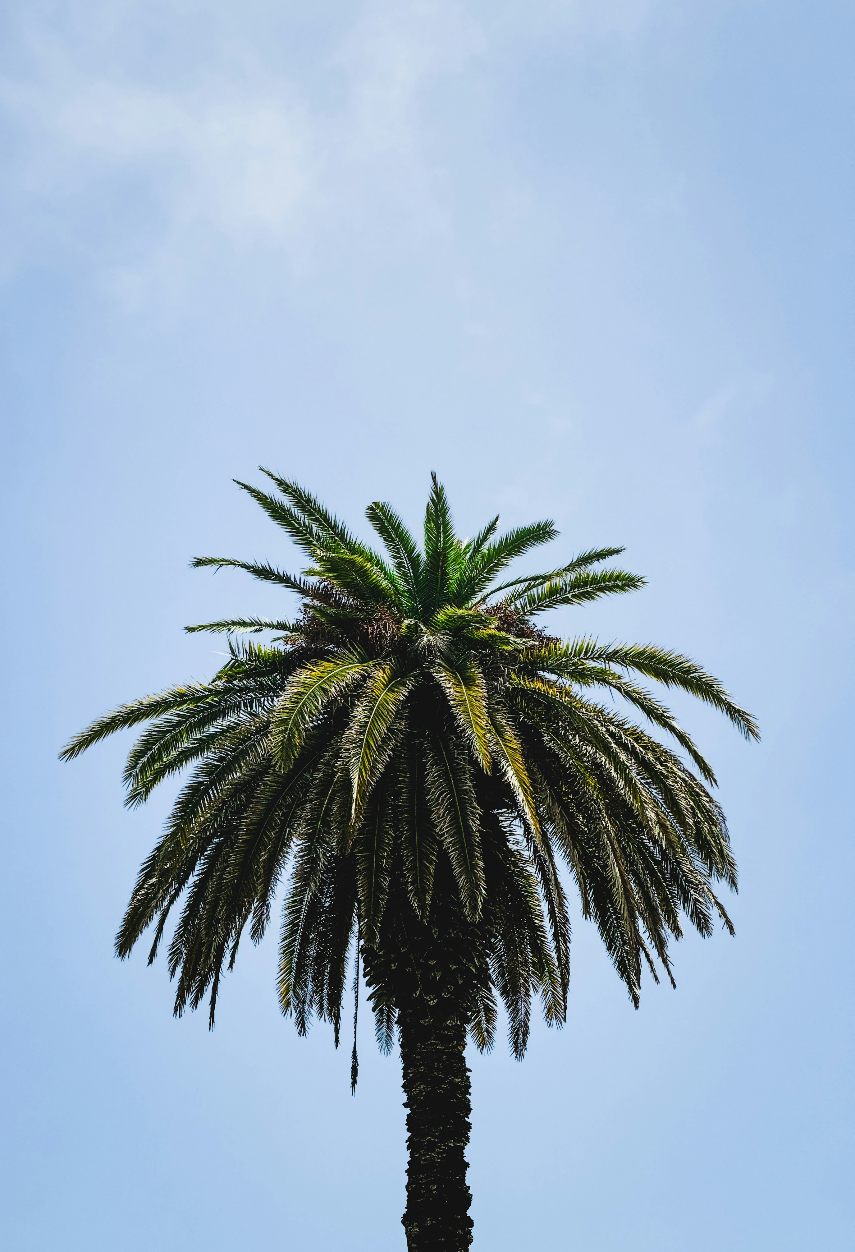 Photo by kevinbessat