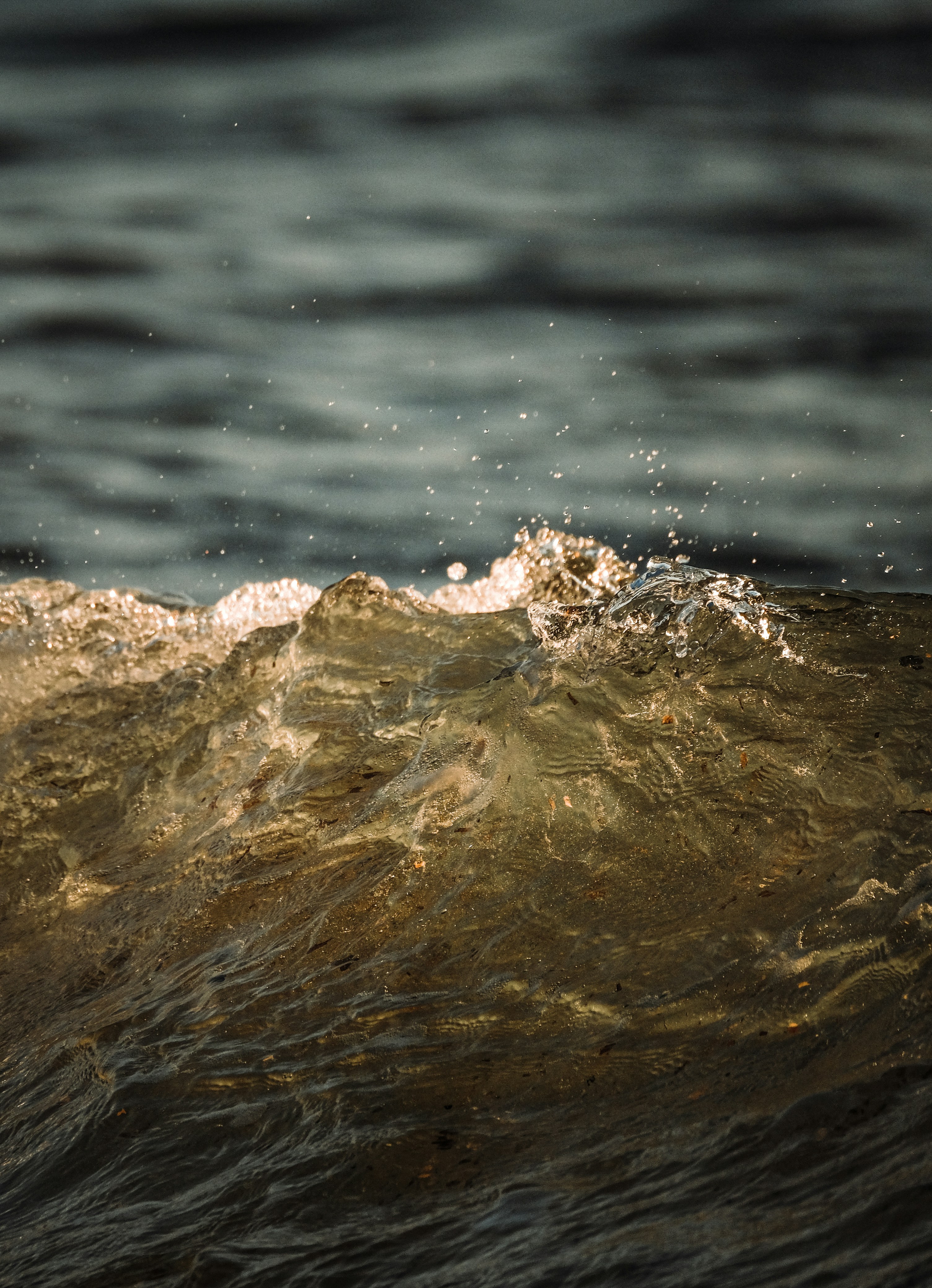 Photo by francesco_ungaro