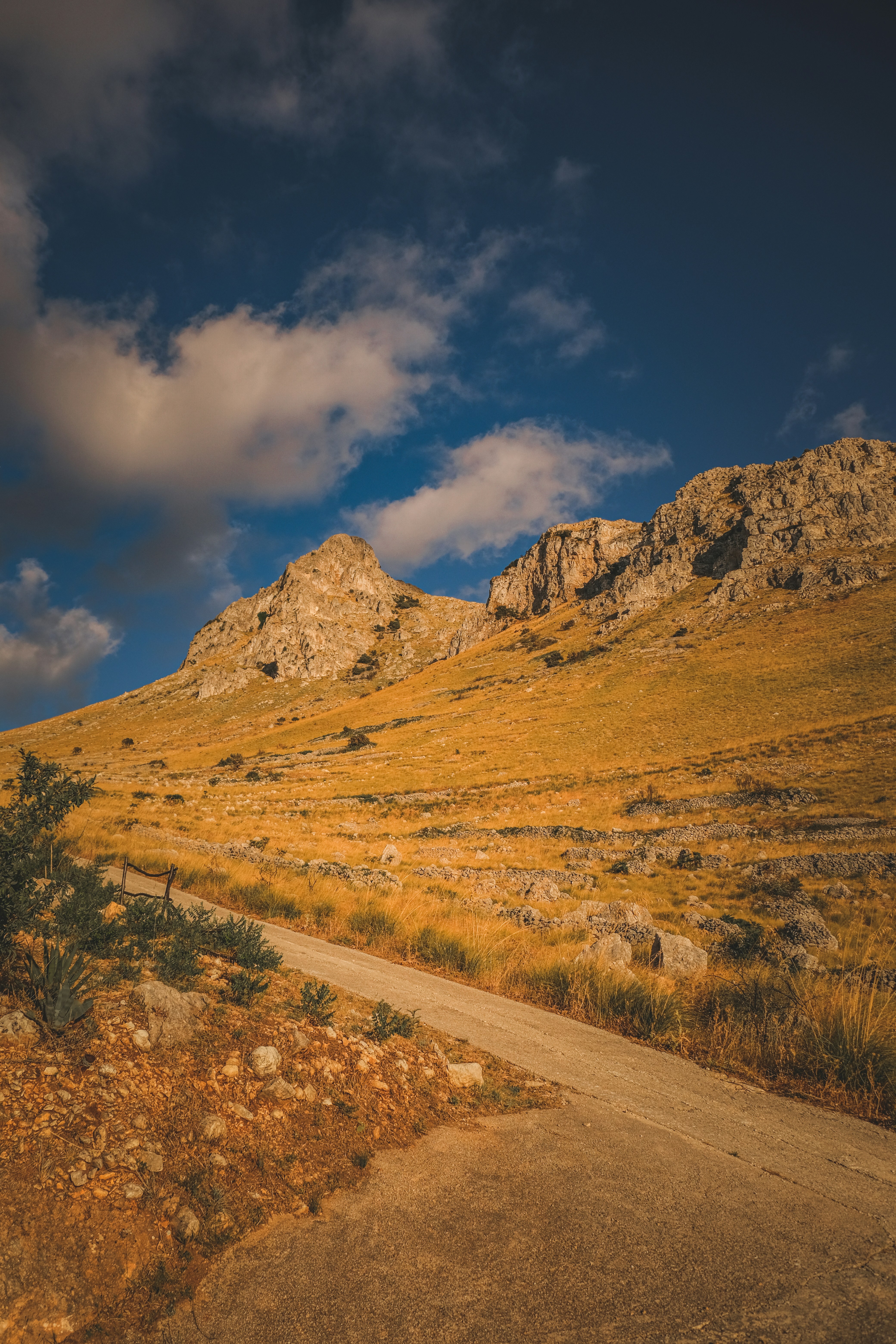 Photo by francesco_ungaro