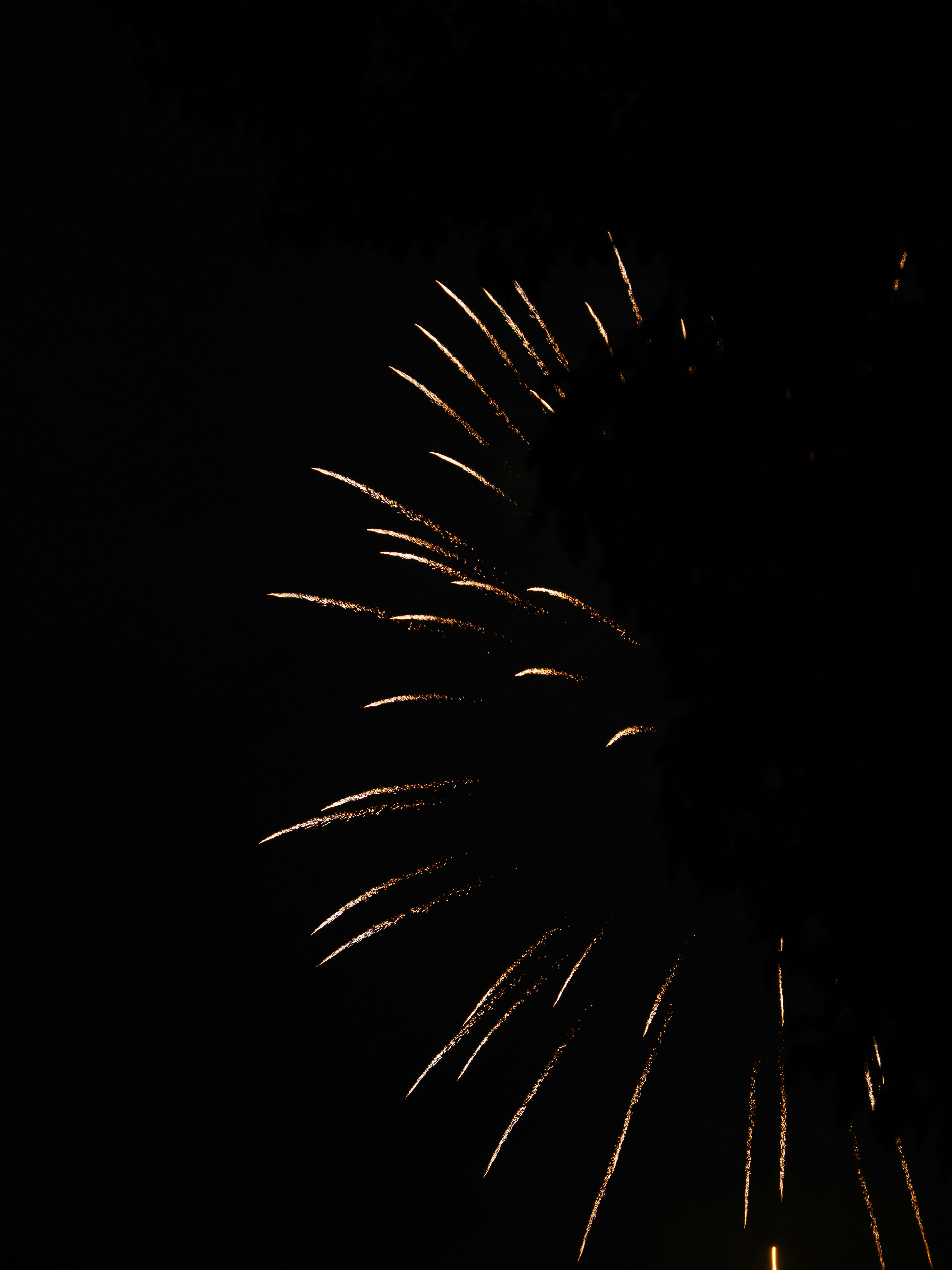 Photo by shellingfordyu