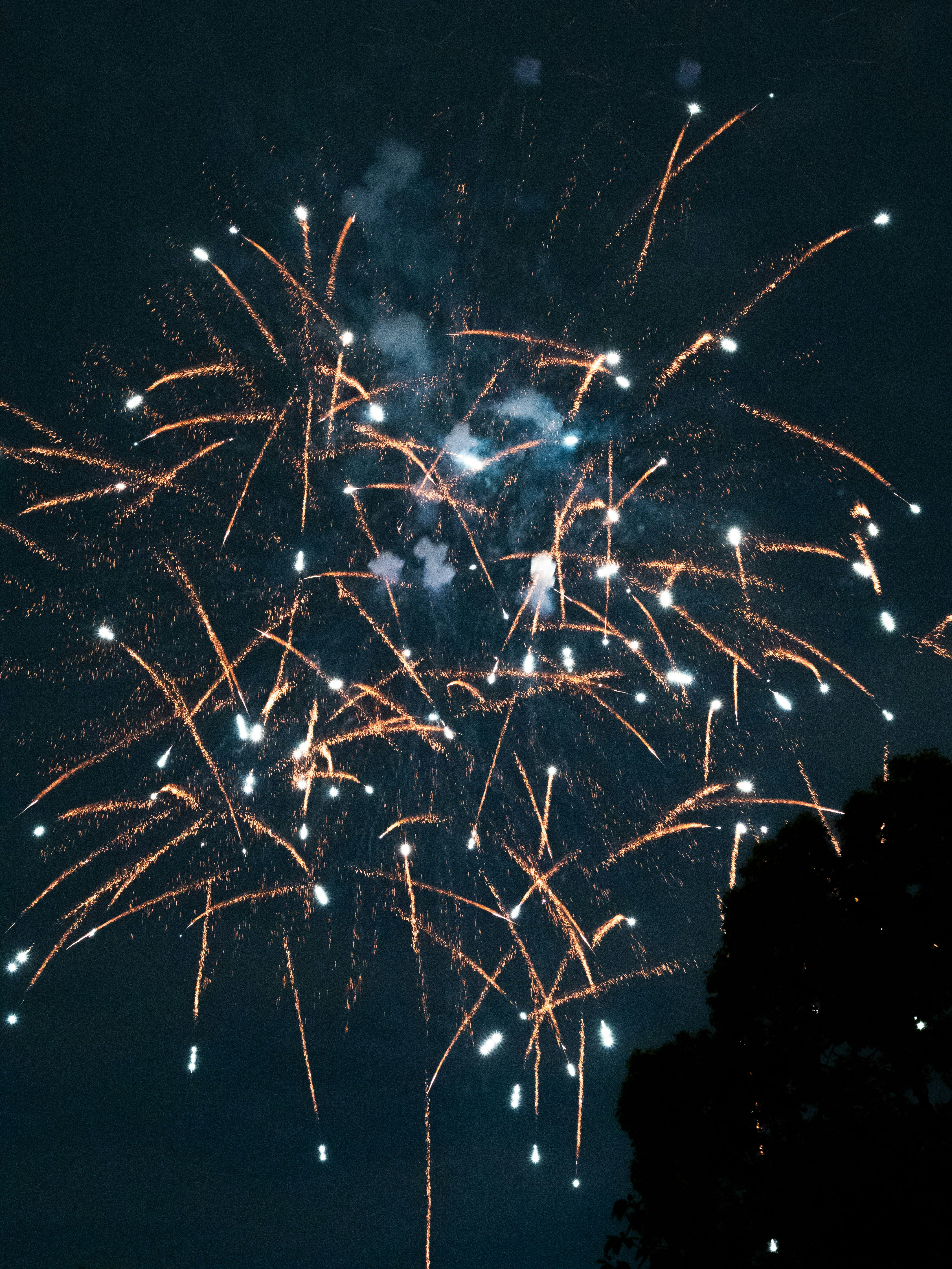 Photo by shellingfordyu