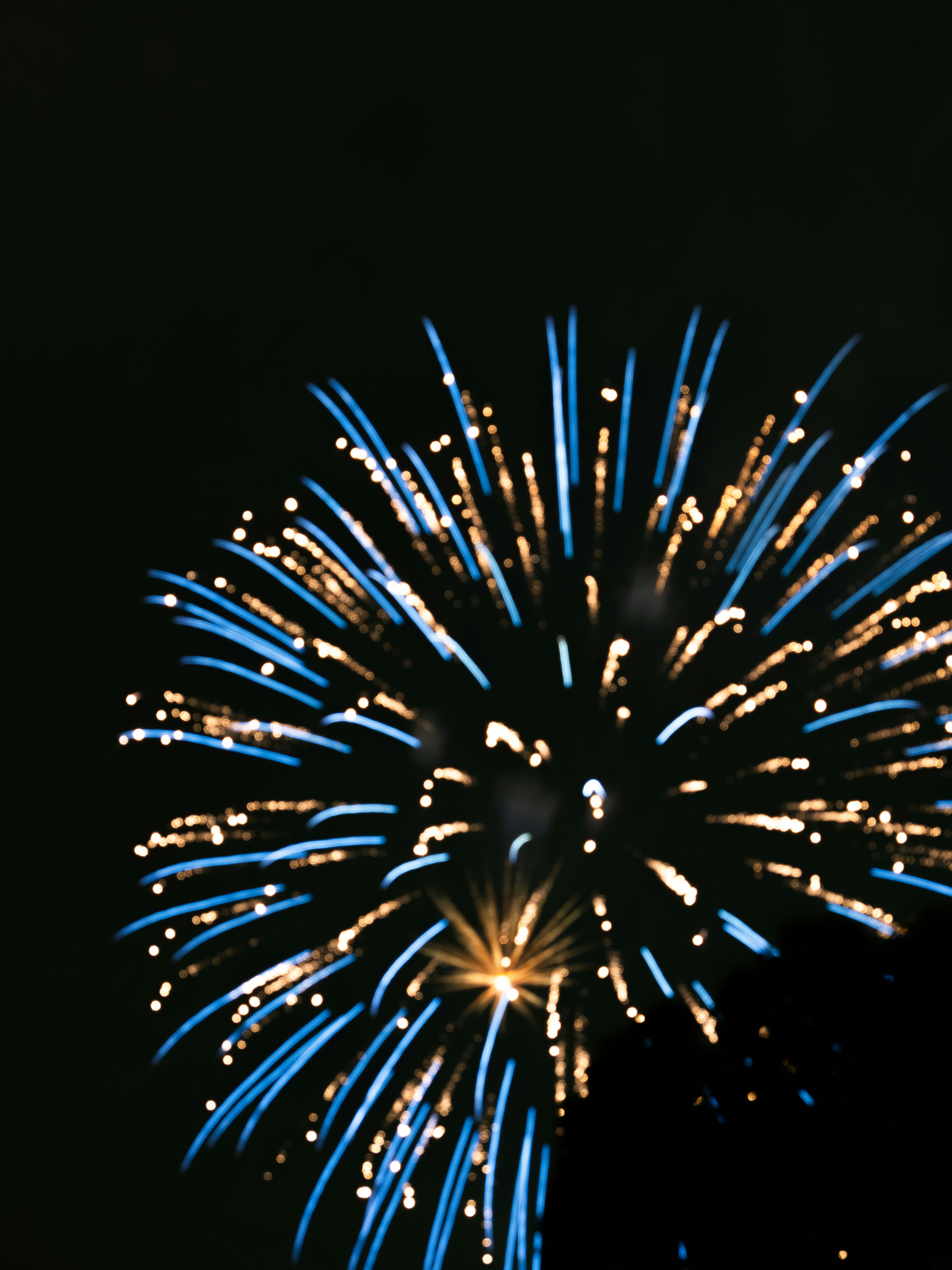 Photo by shellingfordyu