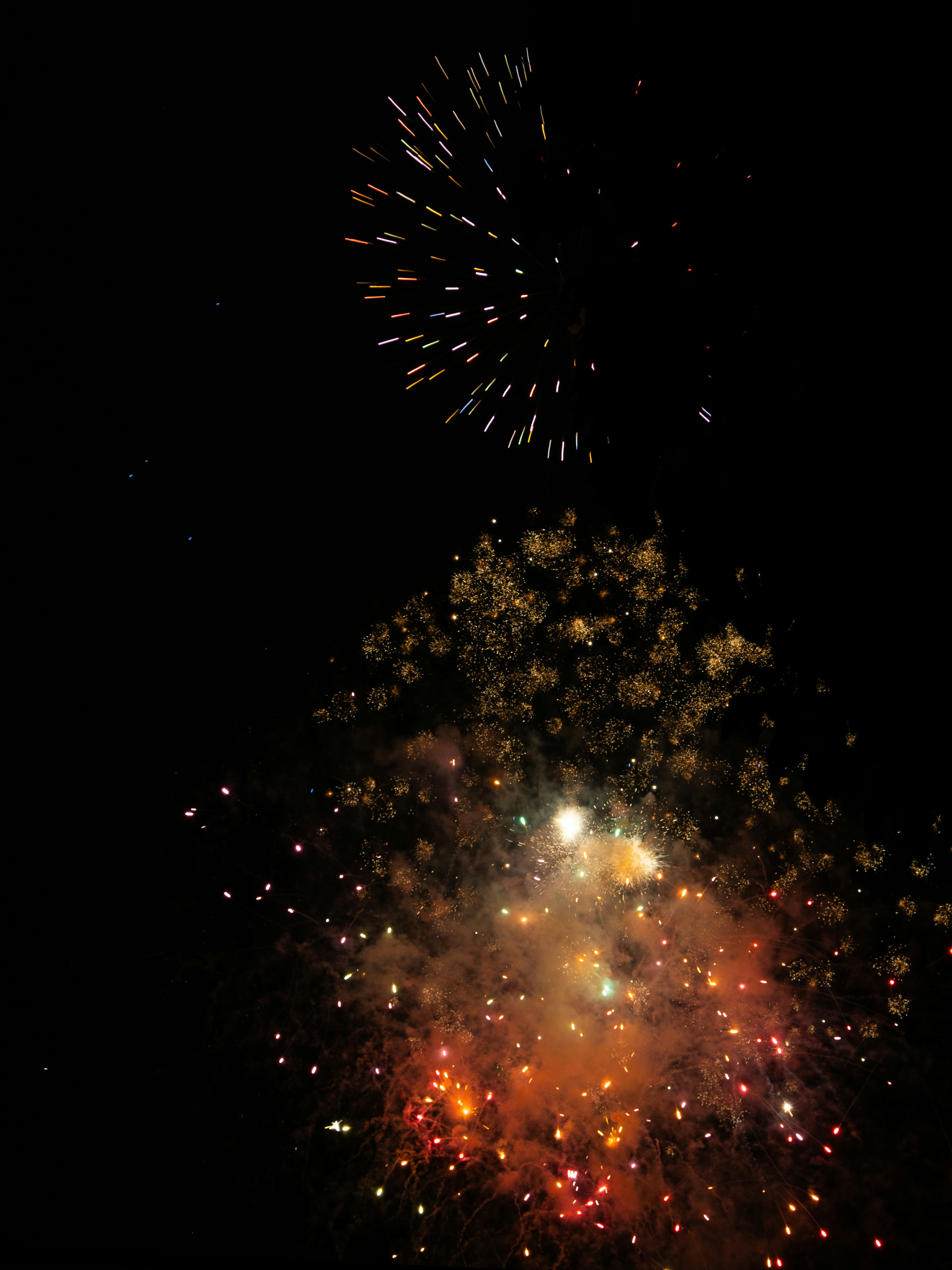 Photo by shellingfordyu