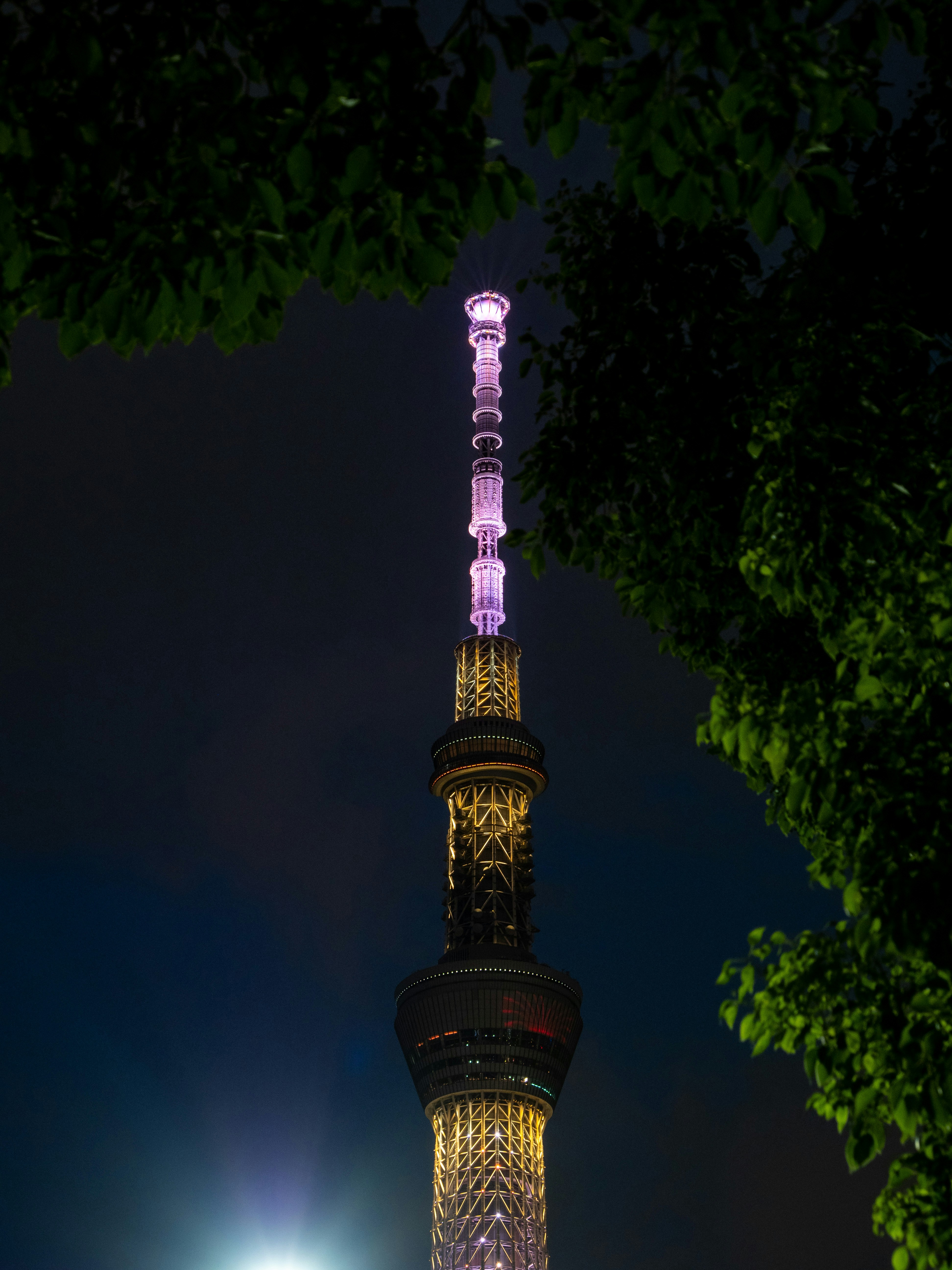 虹色の眺望 日3枚セット 虹色の眺望 日3枚セット