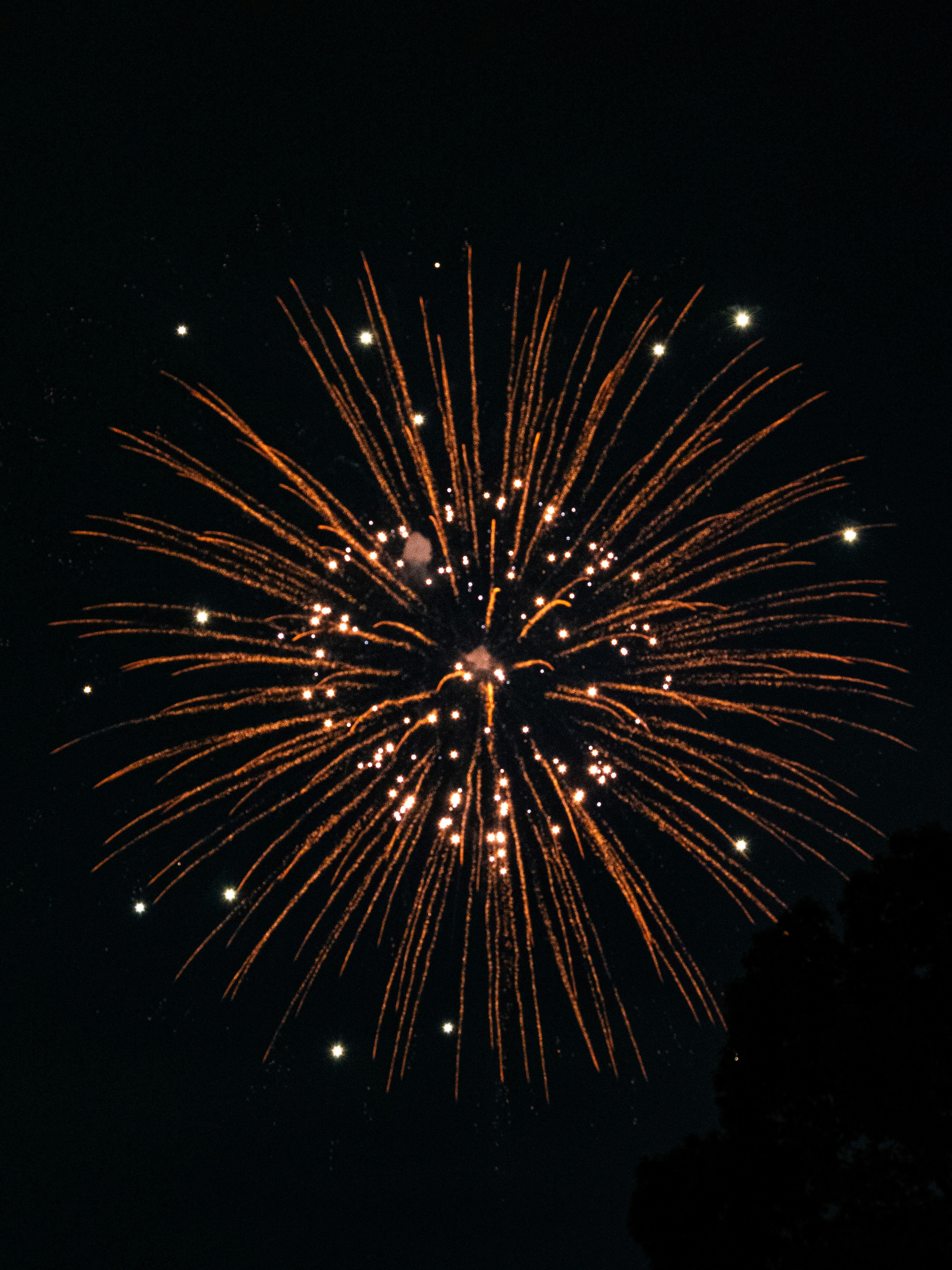 Photo by shellingfordyu