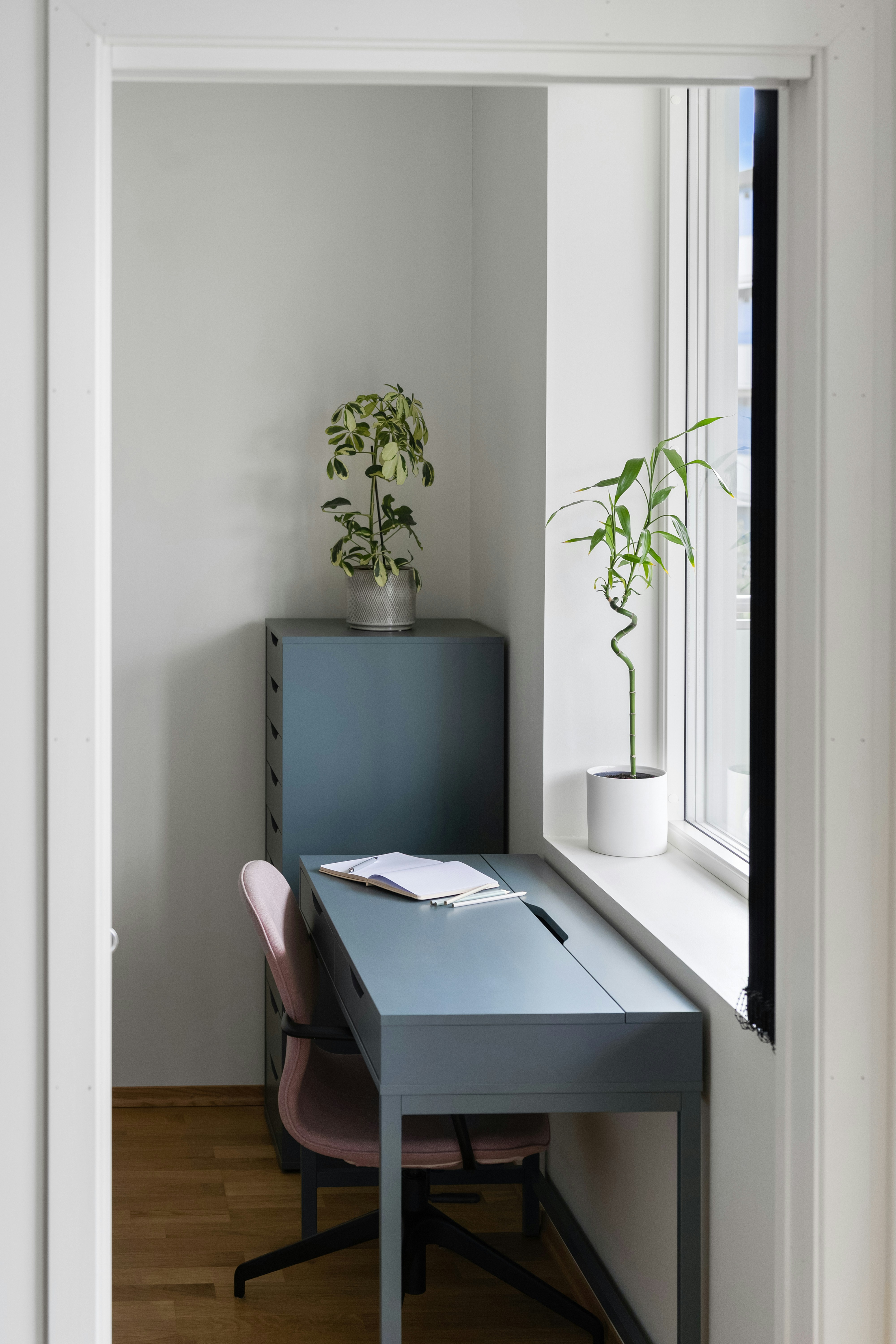 Photo by alextyson195