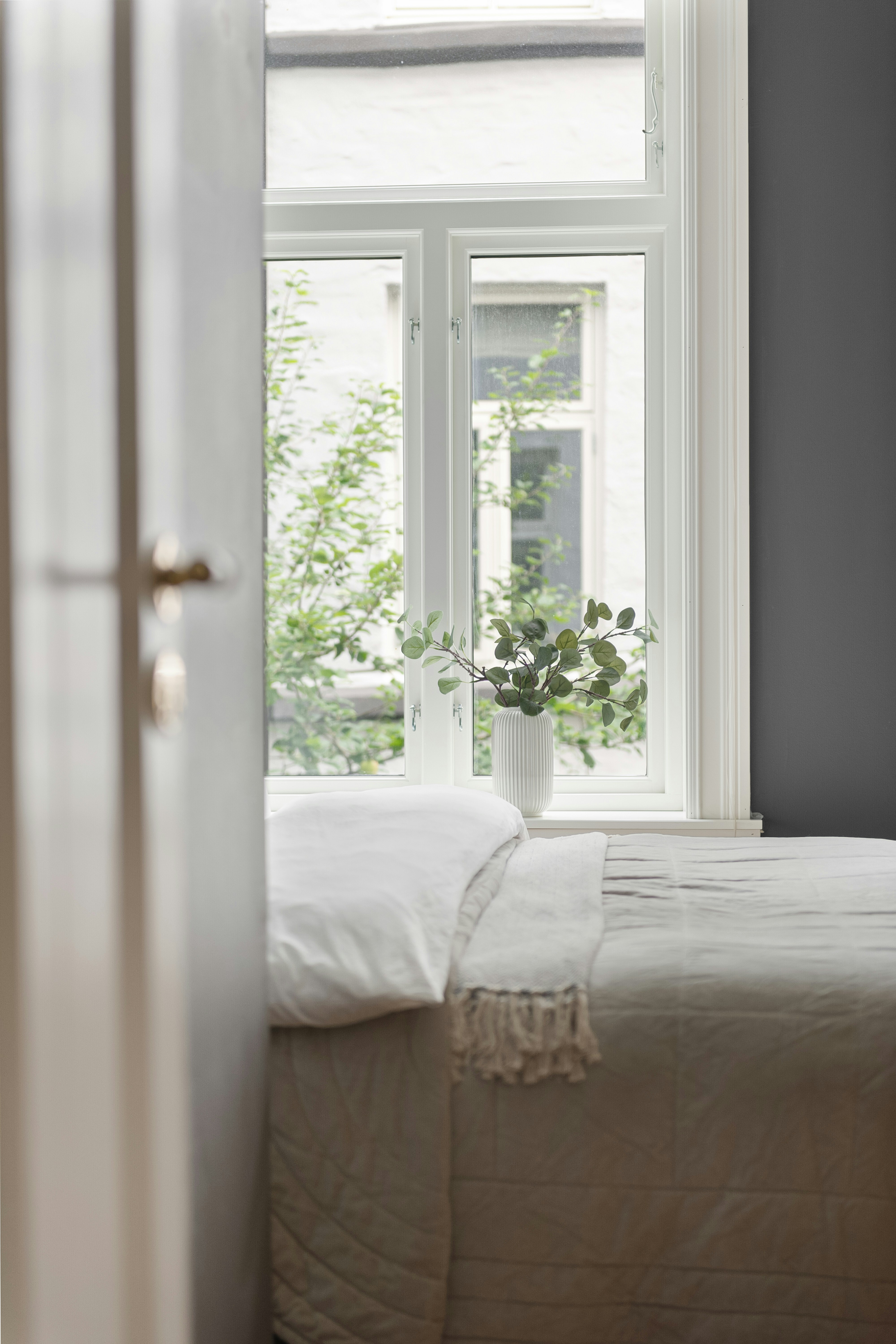 Photo by alextyson195