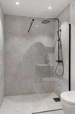 A white toilet sitting next to a walk in shower