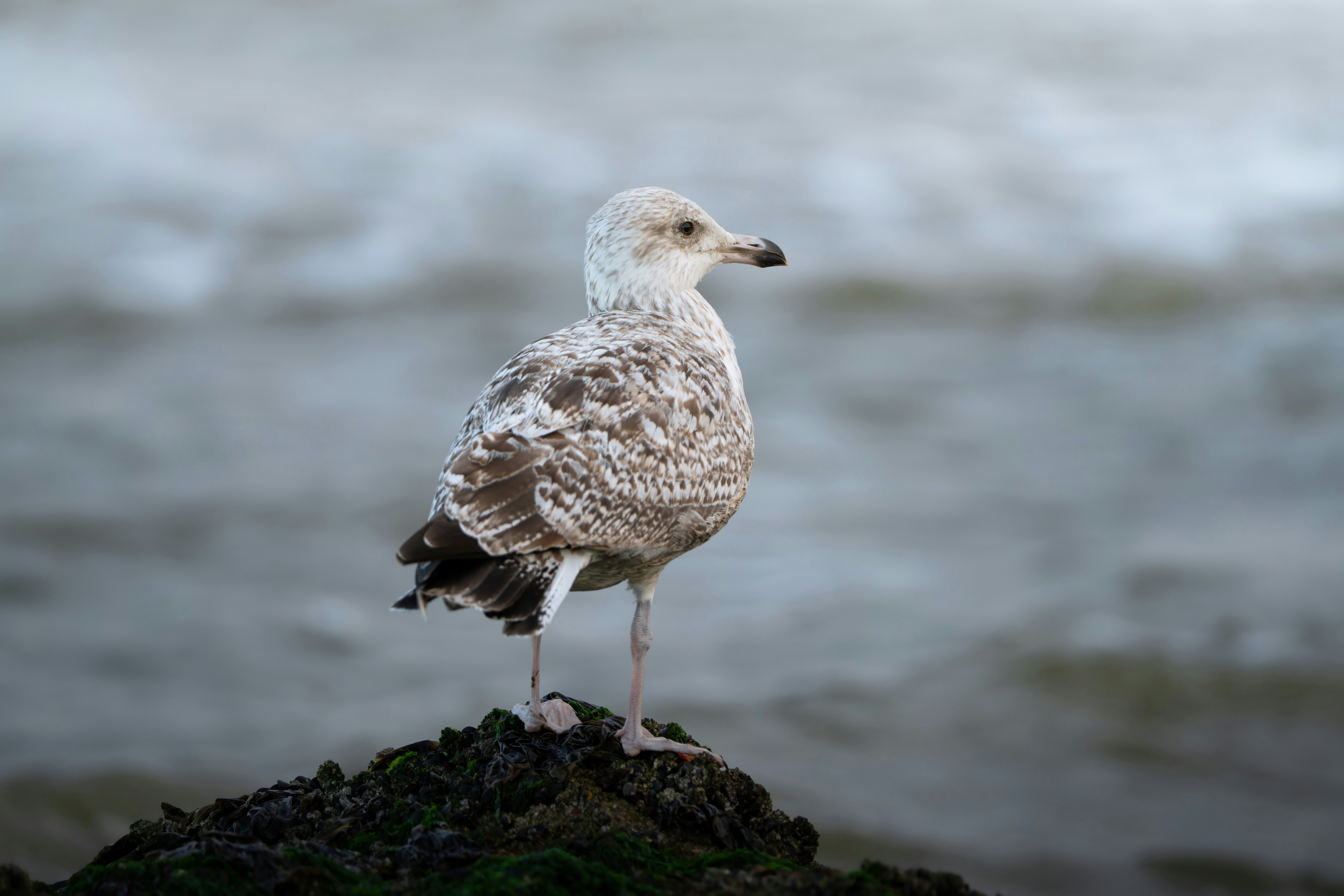 Photo by ronan_hello