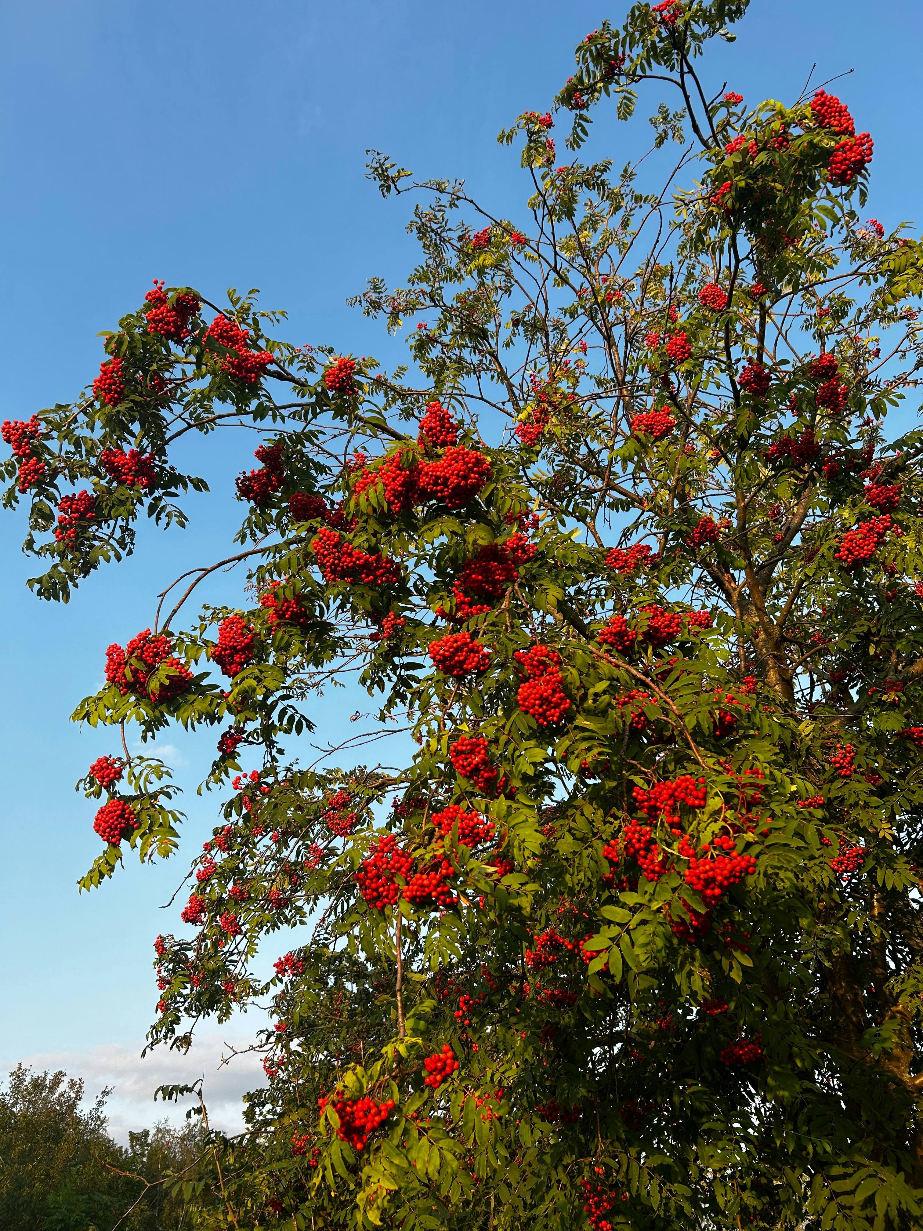 Photo by emotional_lady