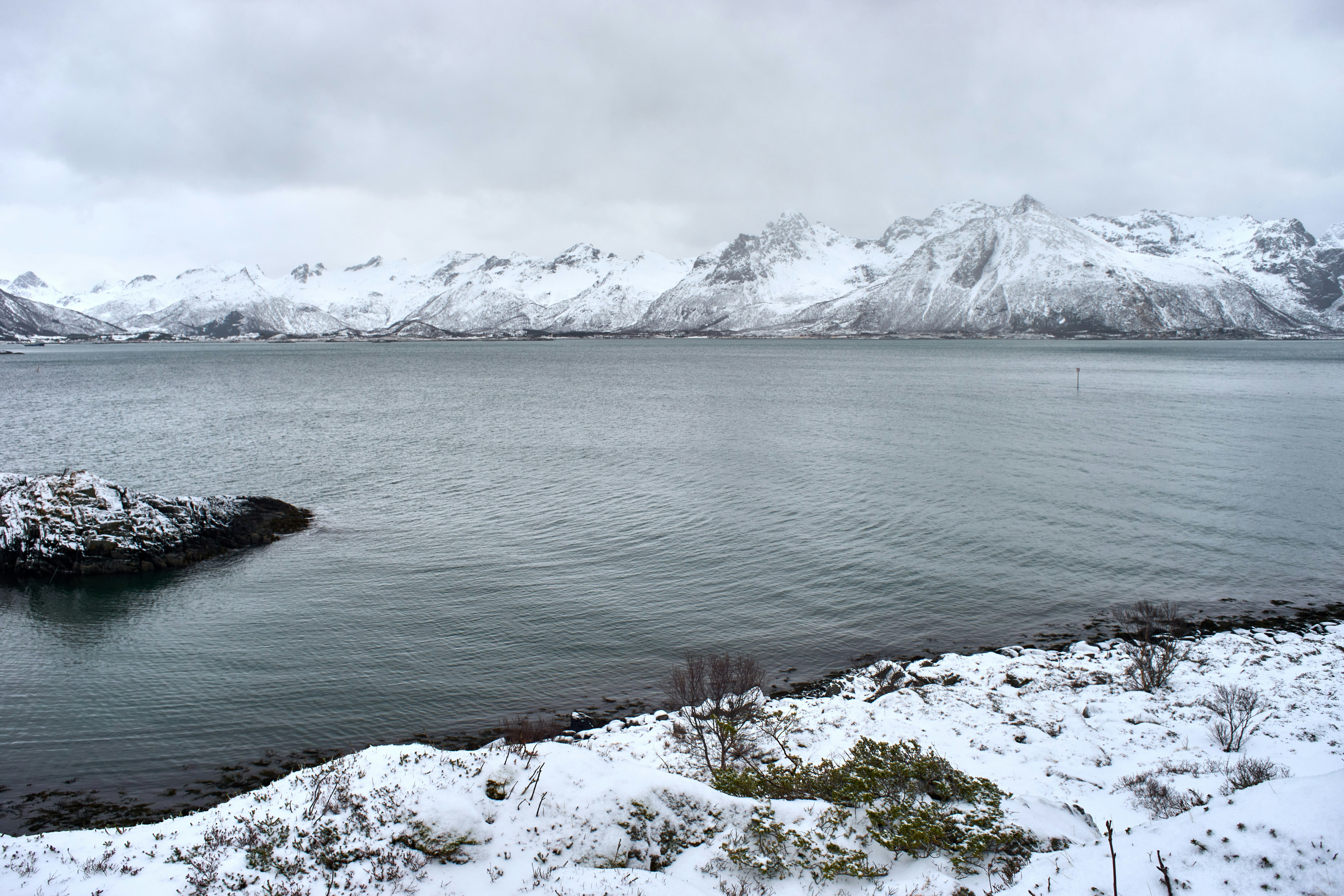 Photo by wolfgang_hasselmann