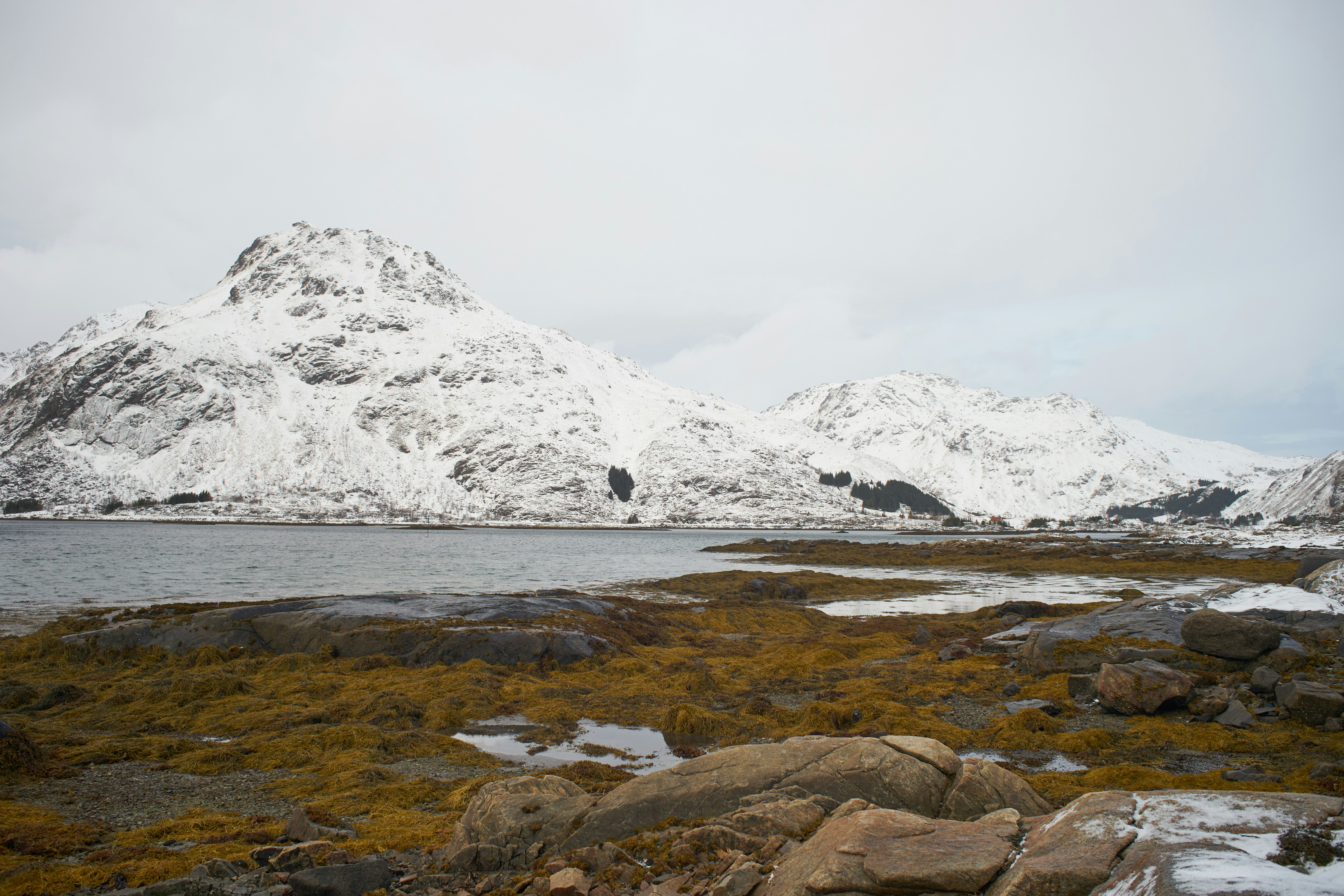 Photo by wolfgang_hasselmann