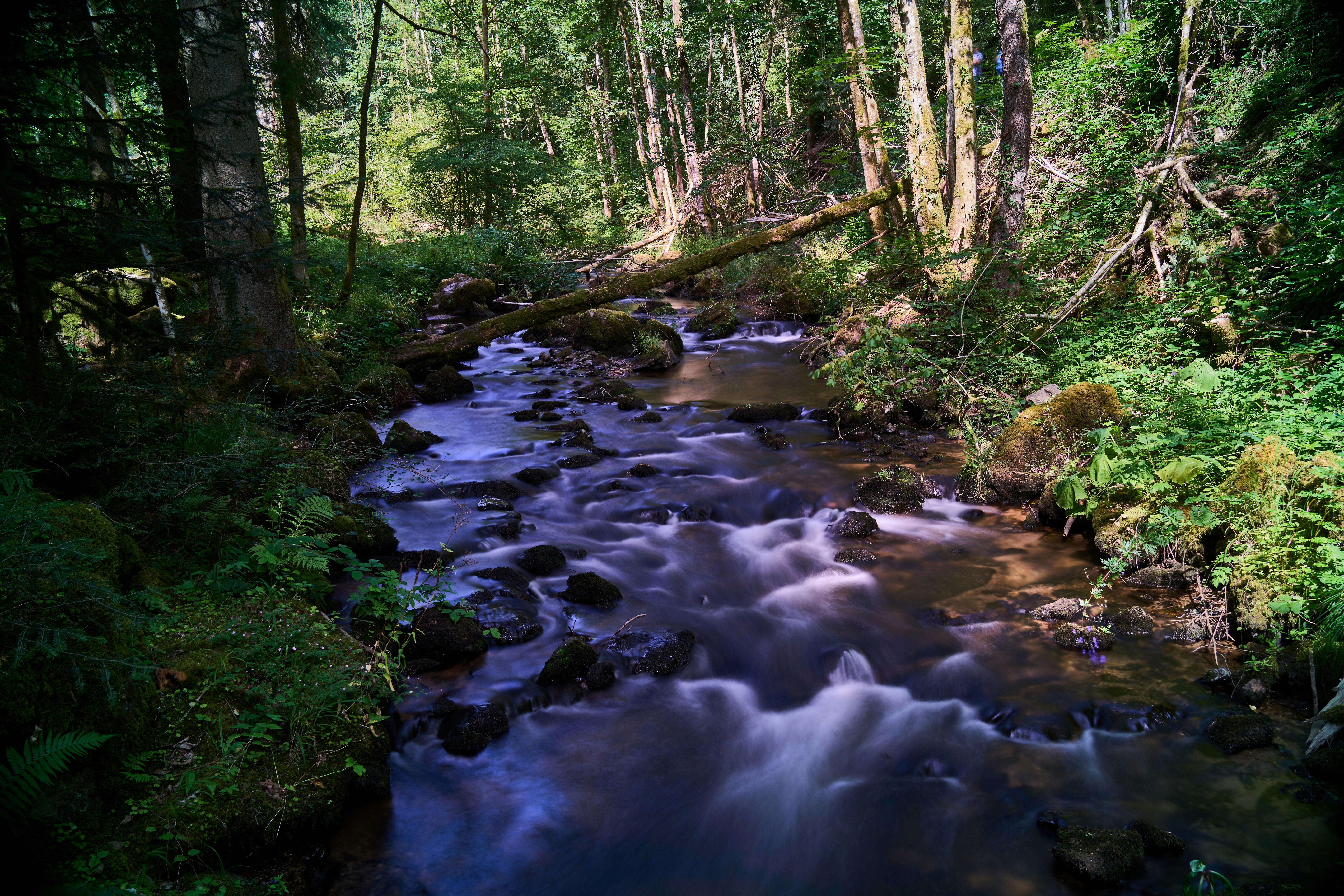 Photo by wolfgang_hasselmann