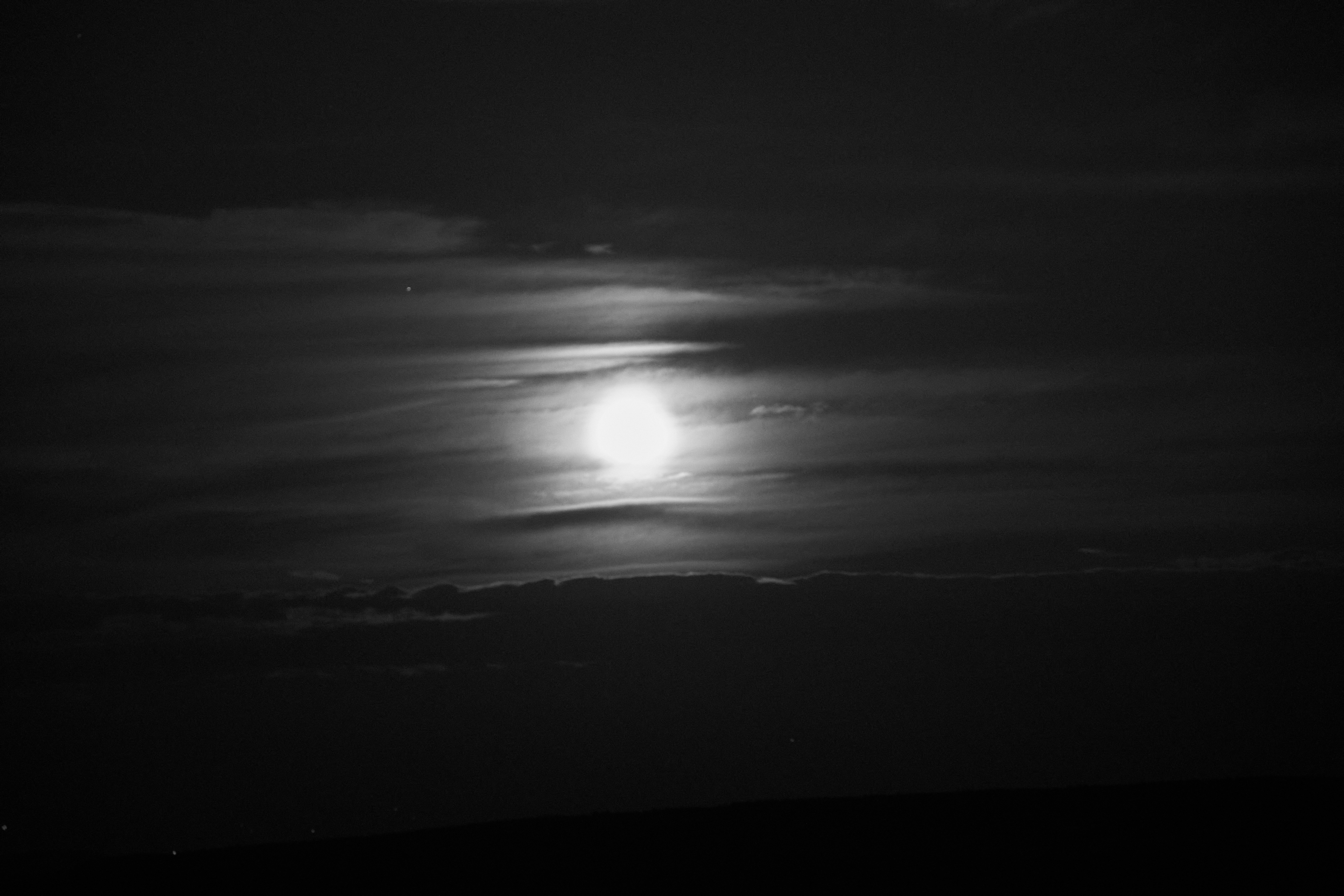 Photo by wolfgang_hasselmann