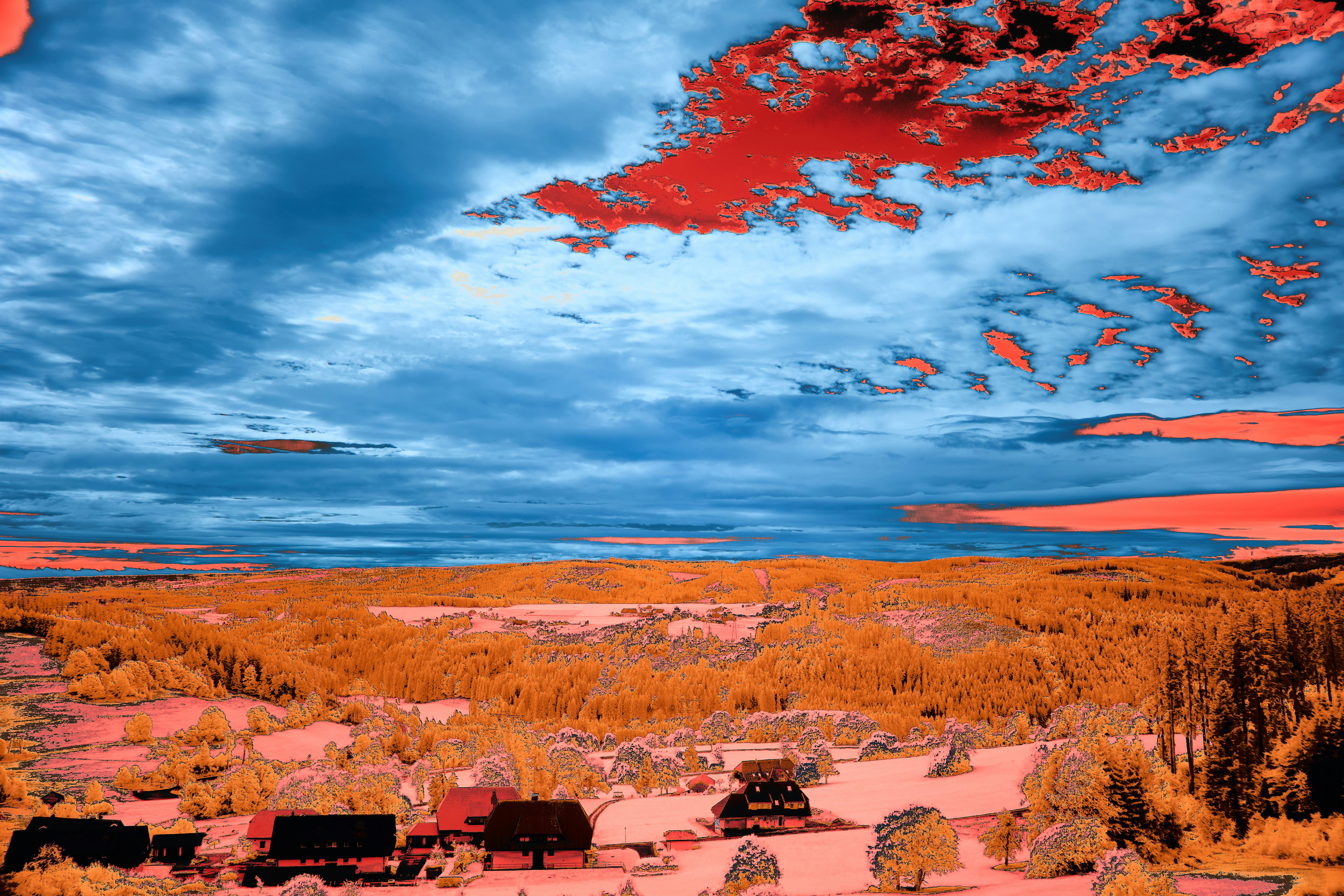 Photo by wolfgang_hasselmann