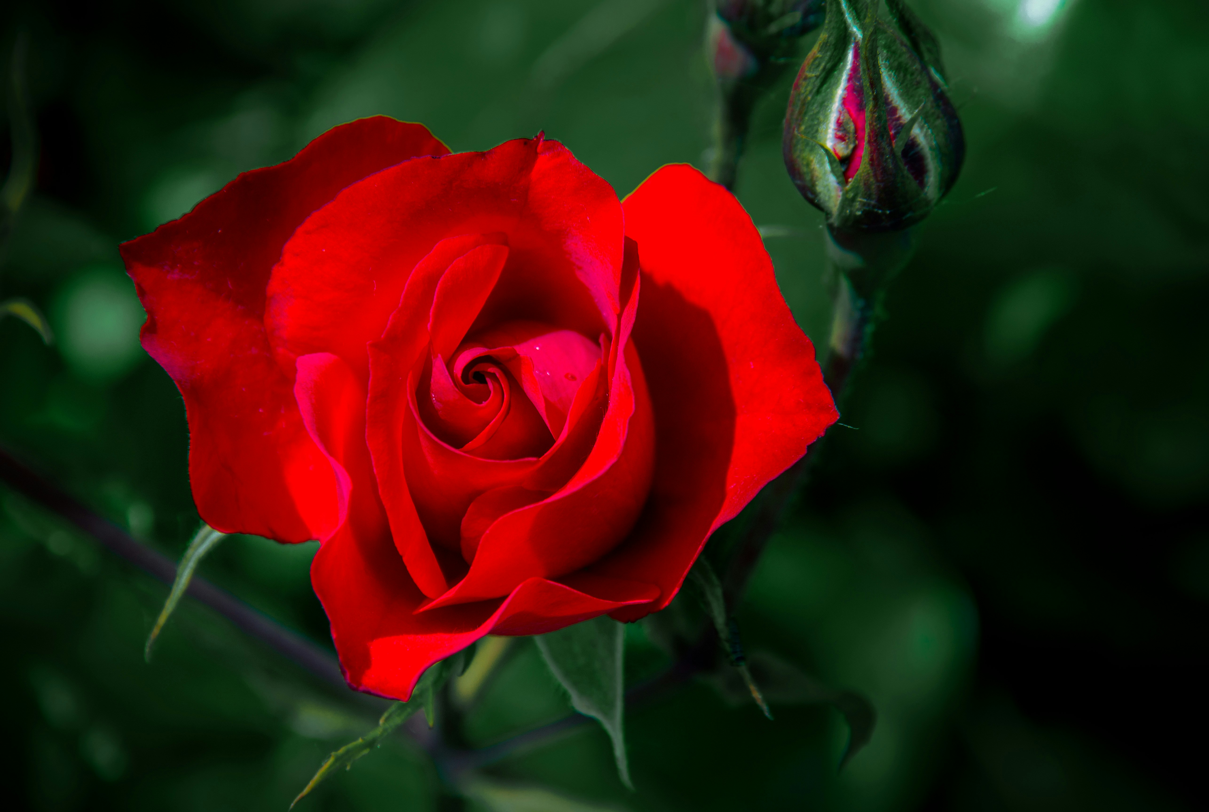 Photo by gabrielenatussi