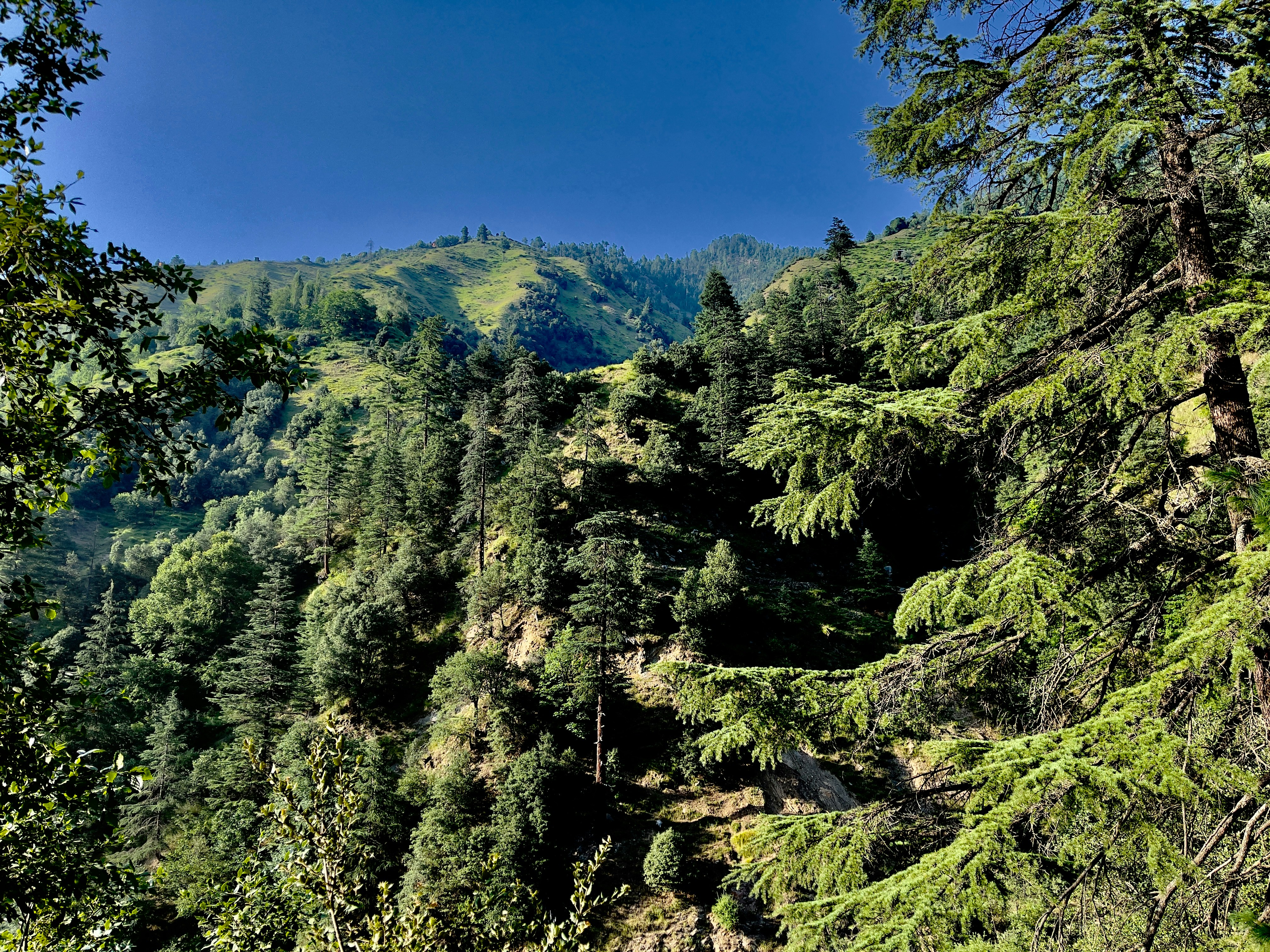 Photo by syedtanverrazvi