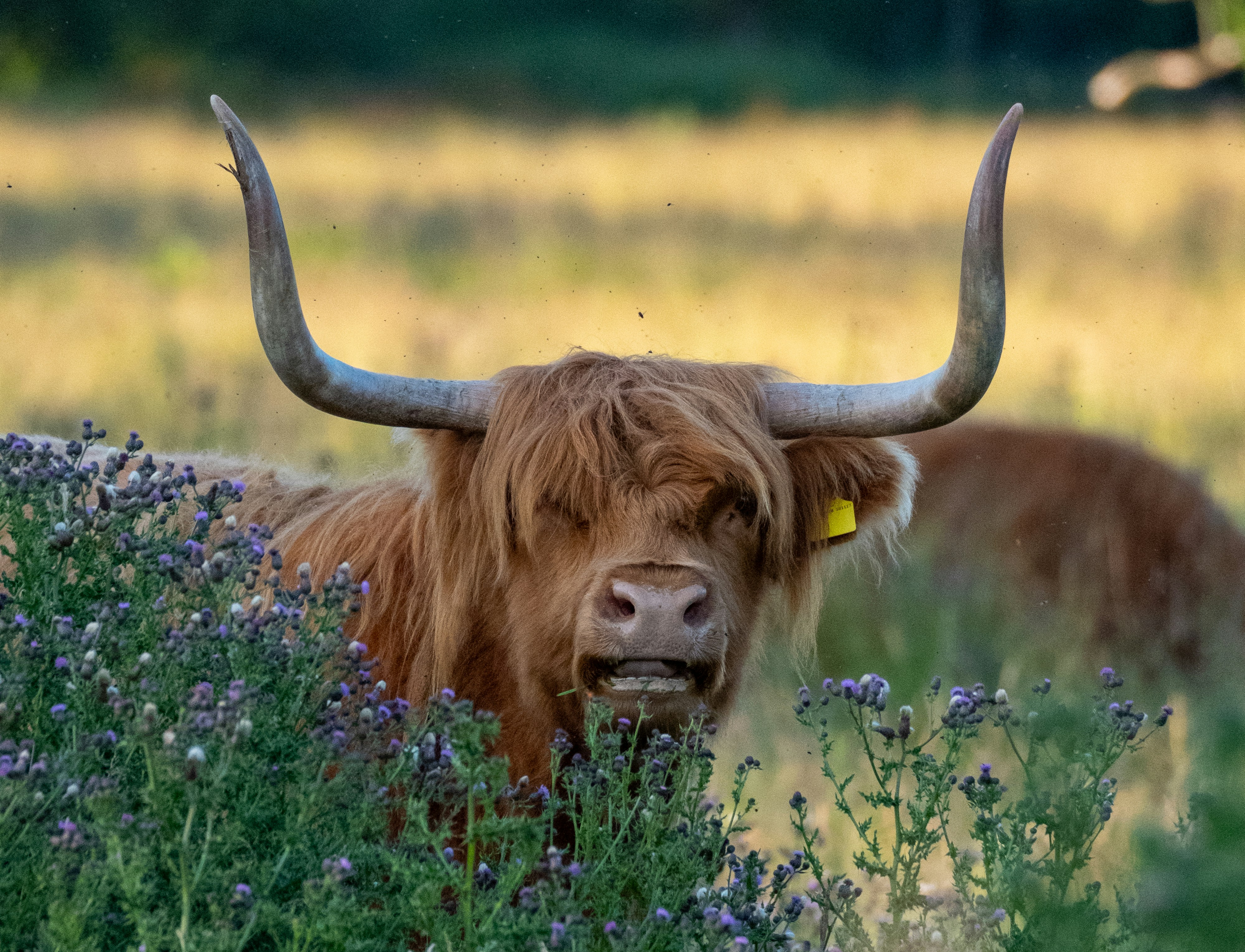 Photo by harryborrettphotography