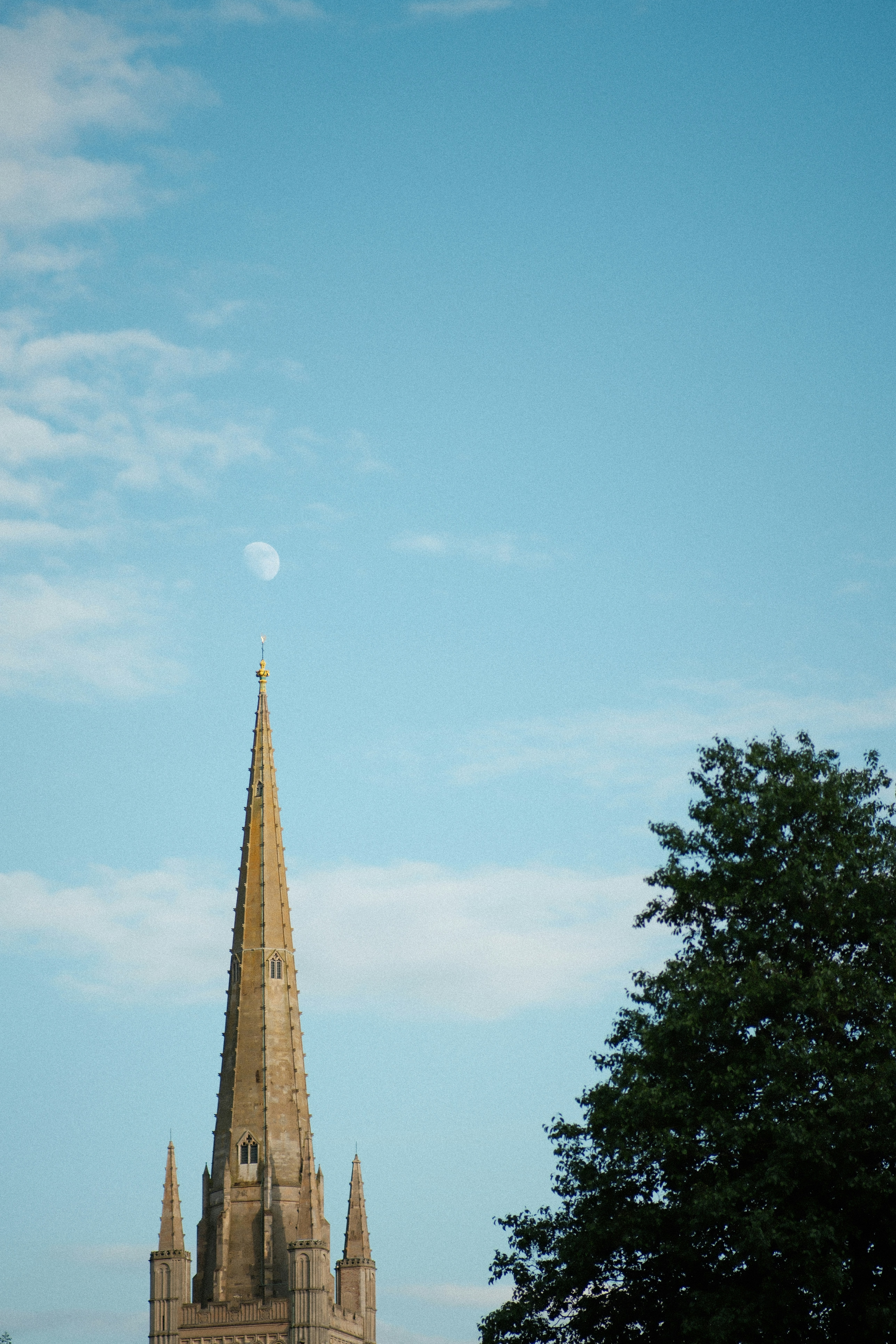 Photo by harryborrettphotography