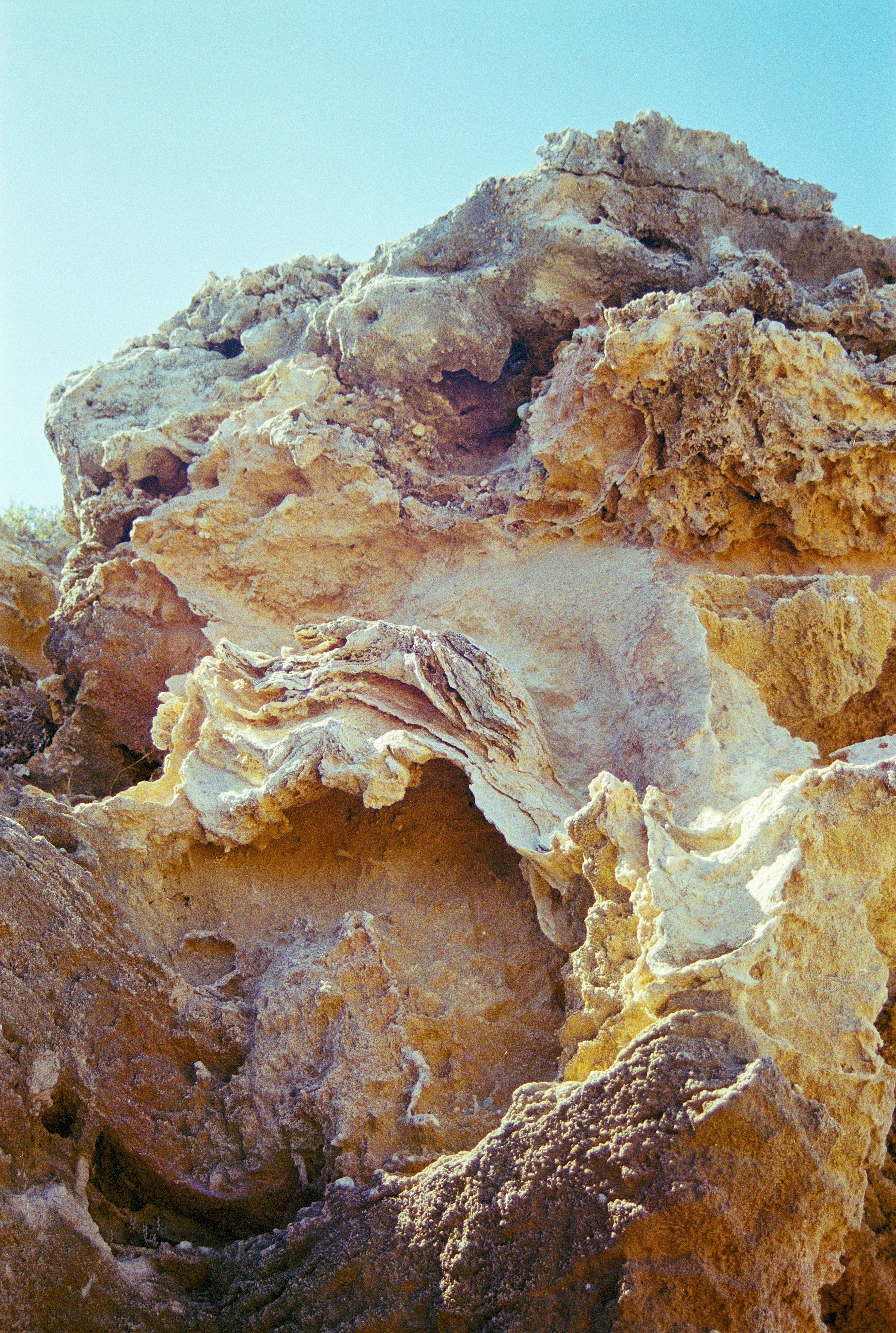 Photo by artistseyes