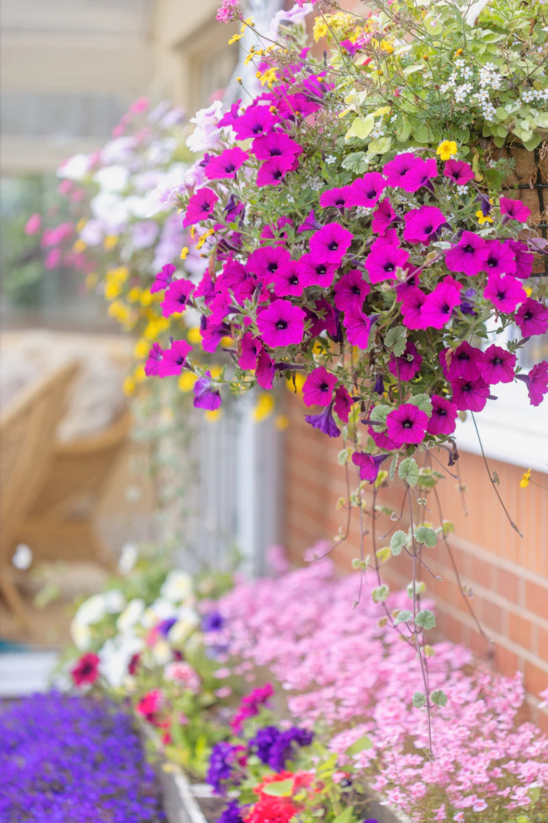 Hanging Baskets at Wild Geese Gardens