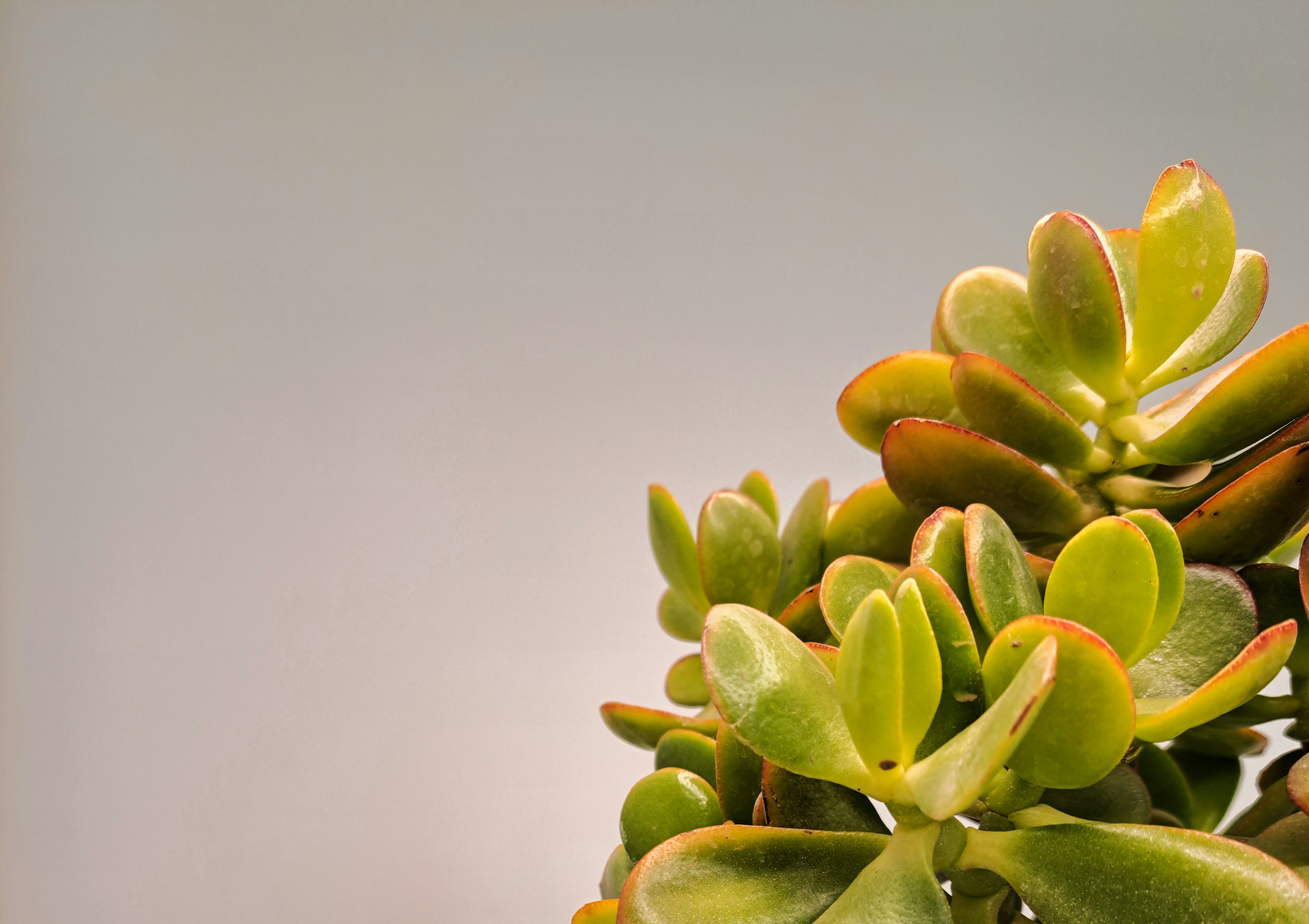 Photo by photo_setayesh