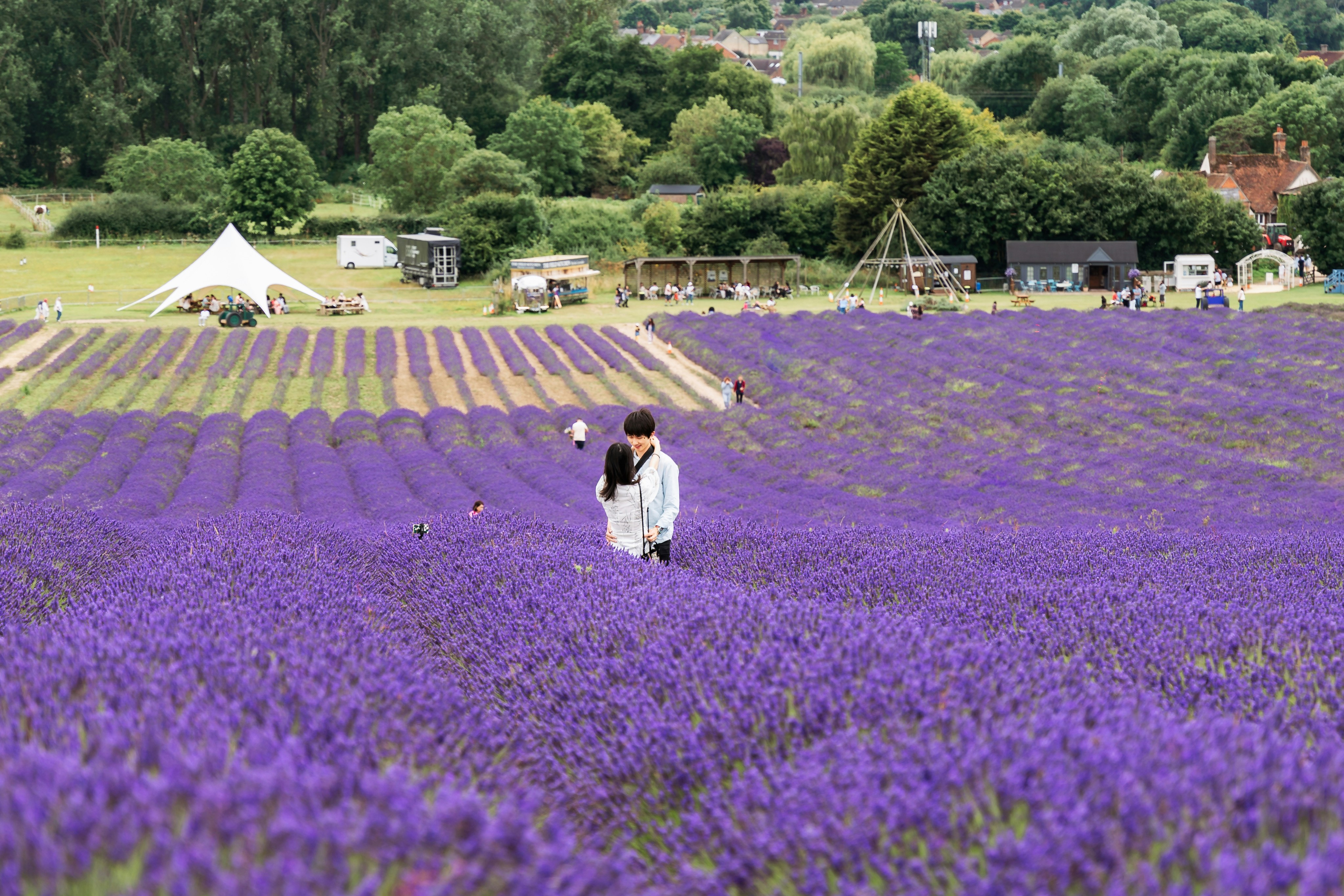 Photo by dixitdhinakaran