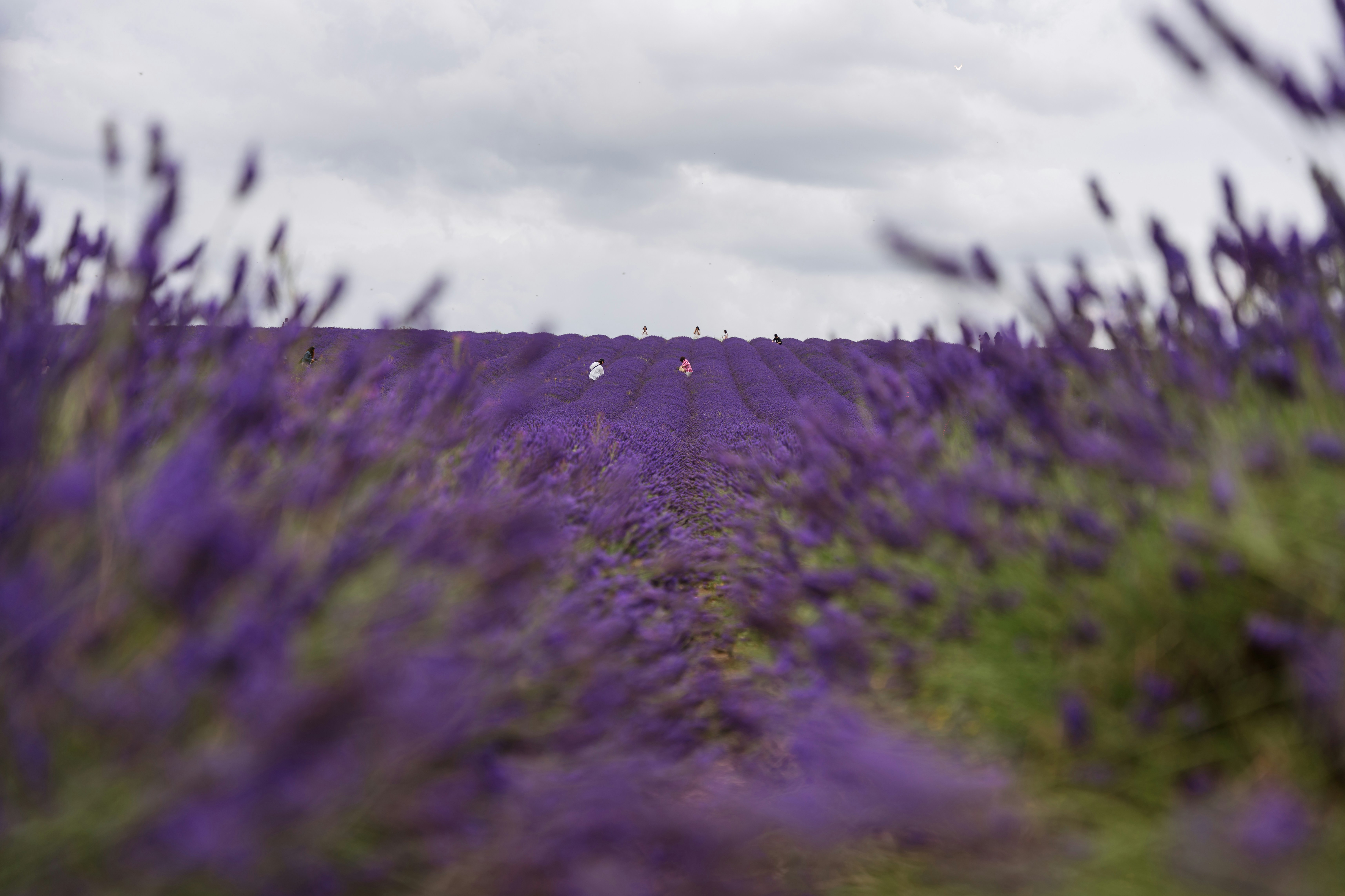 Photo by dixitdhinakaran