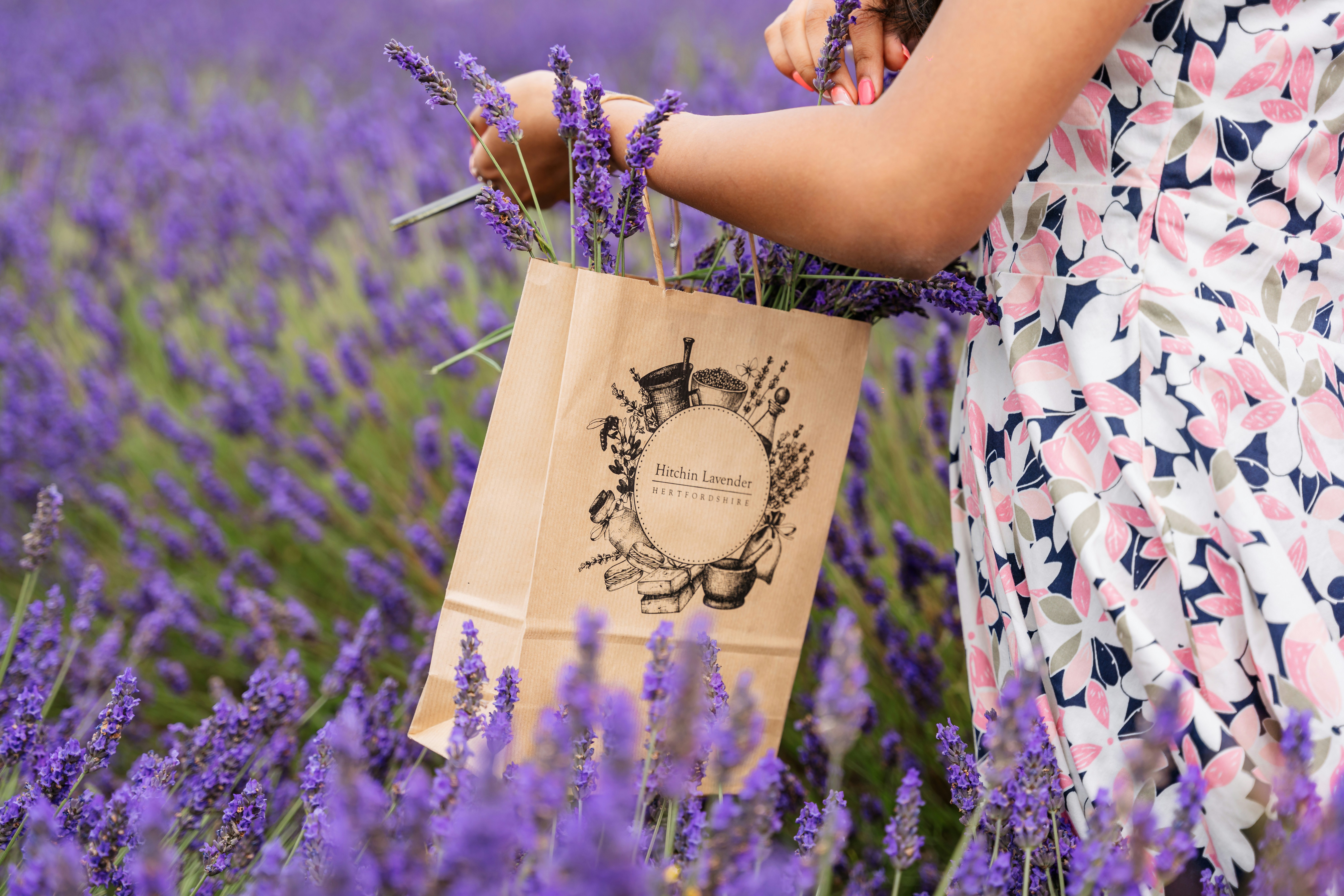 A woman holding a bag in a lavender field