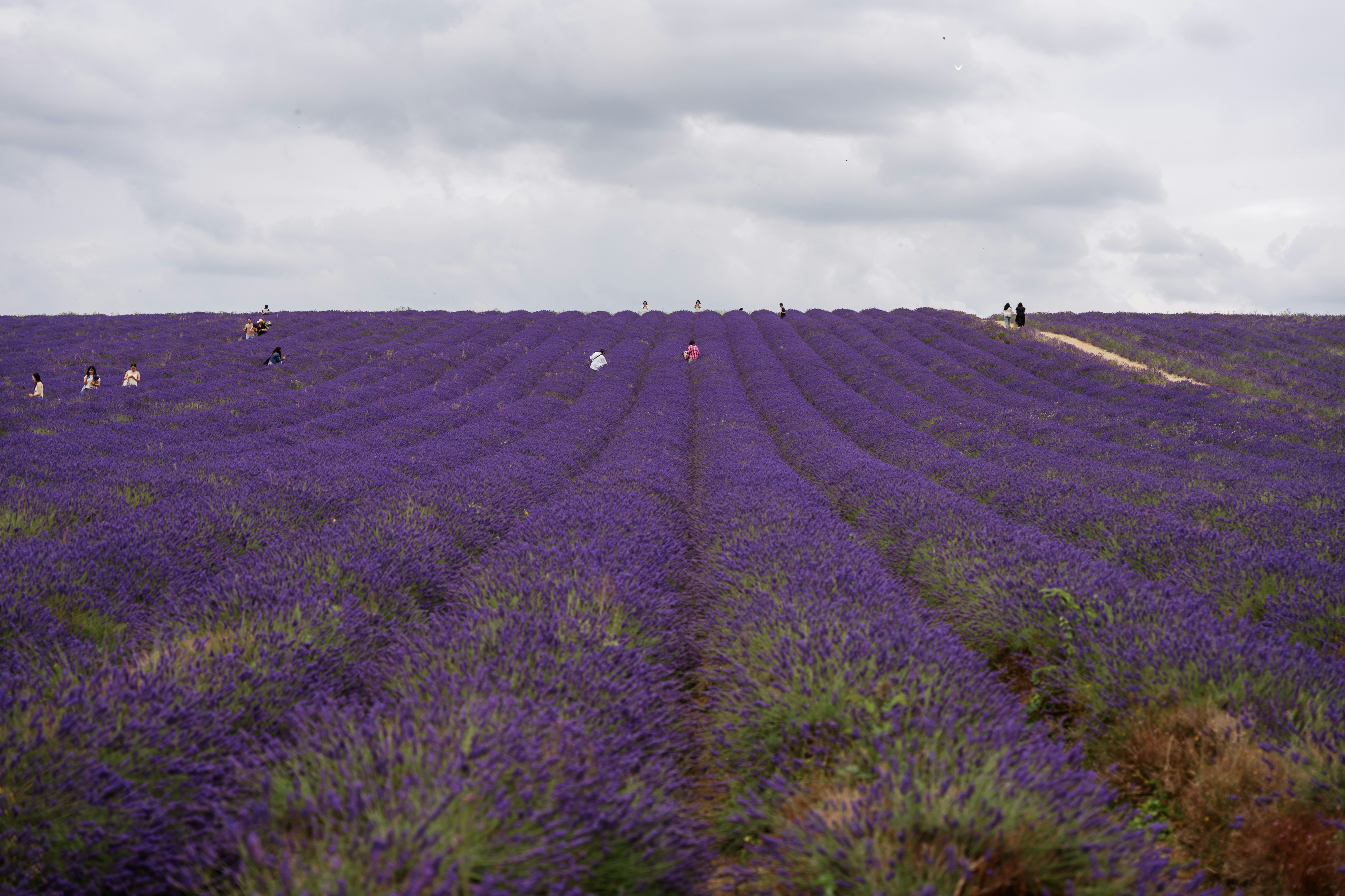 Photo by dixitdhinakaran