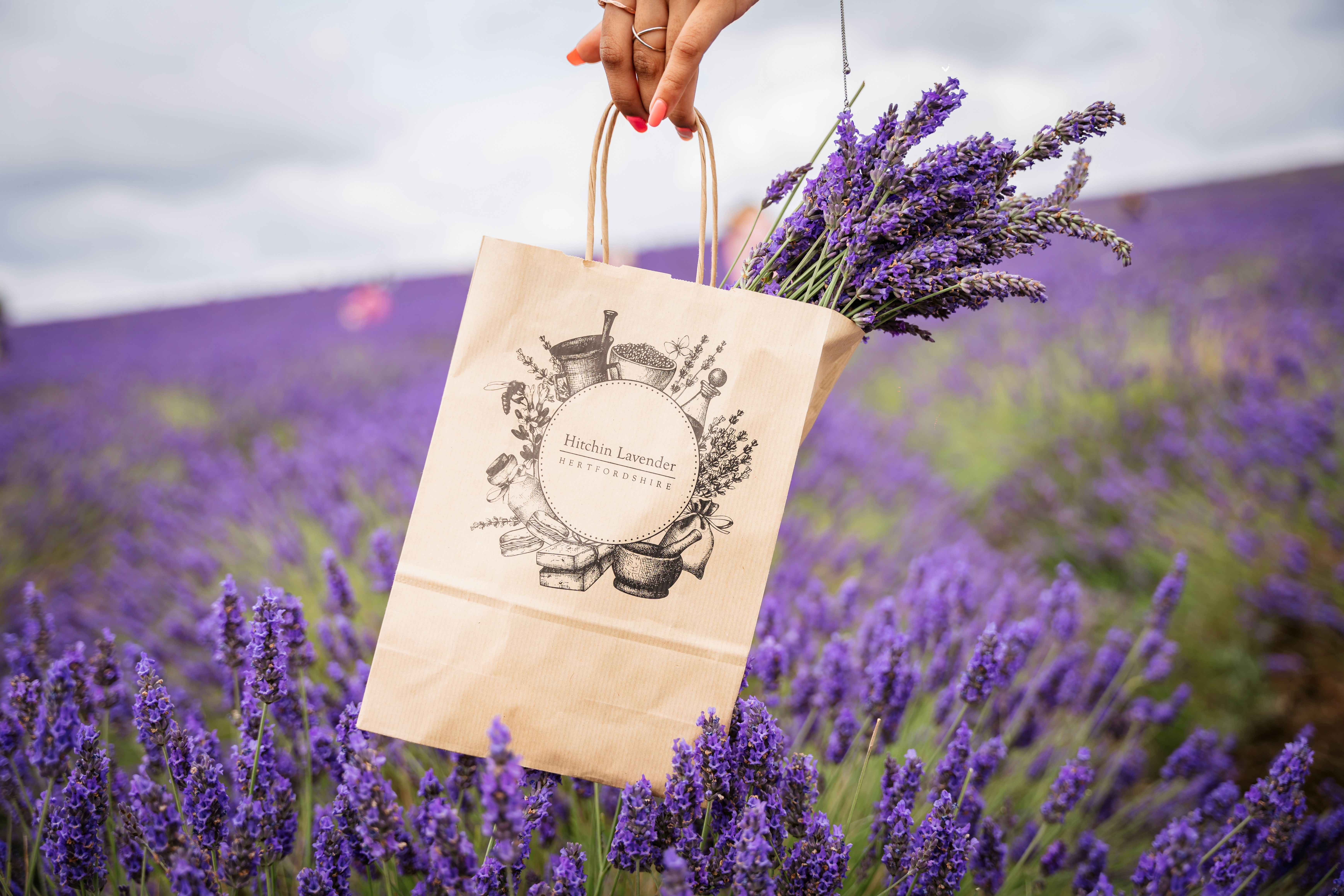 A person holding a shopping bag in a lavender field