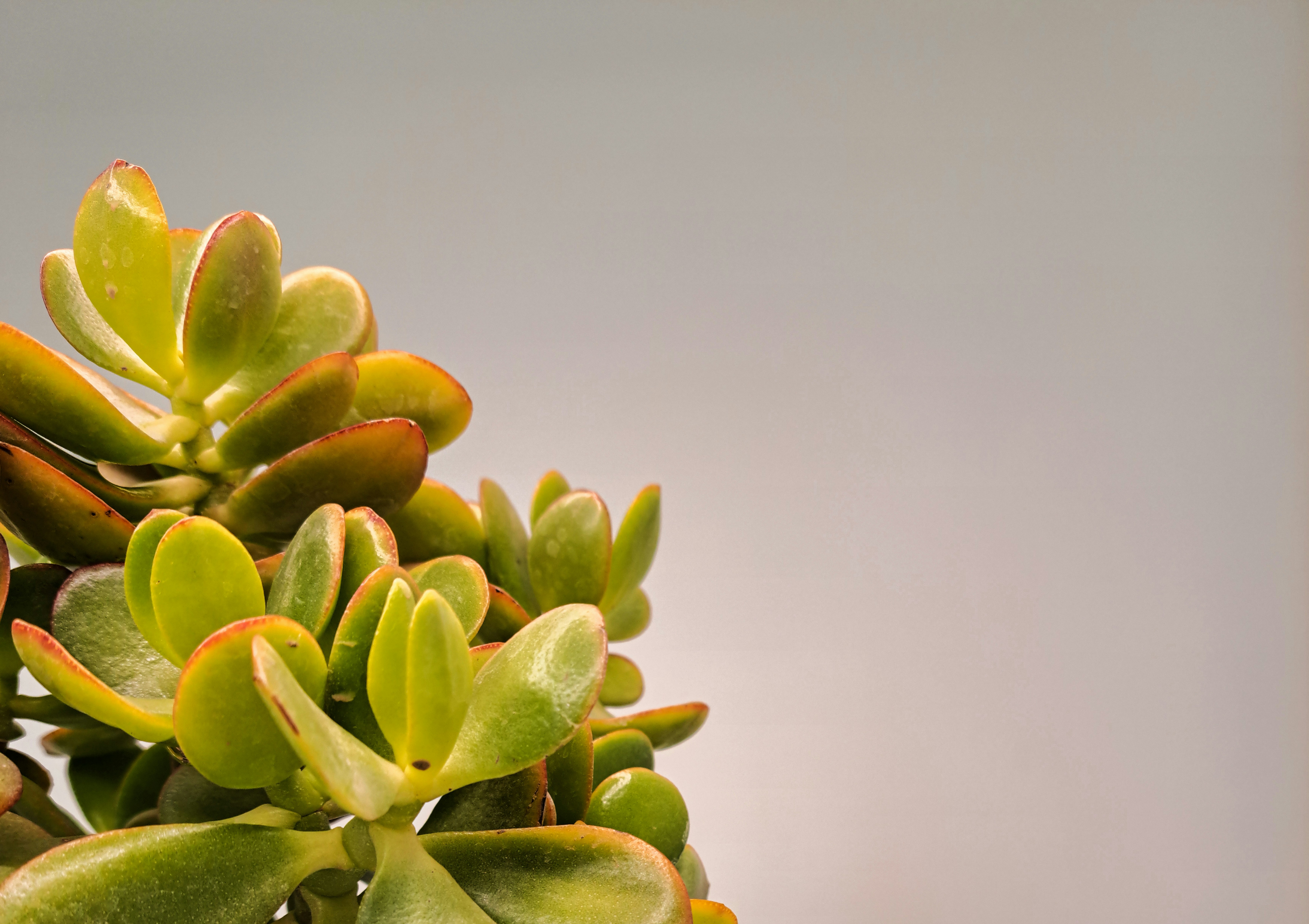 Photo by photo_setayesh