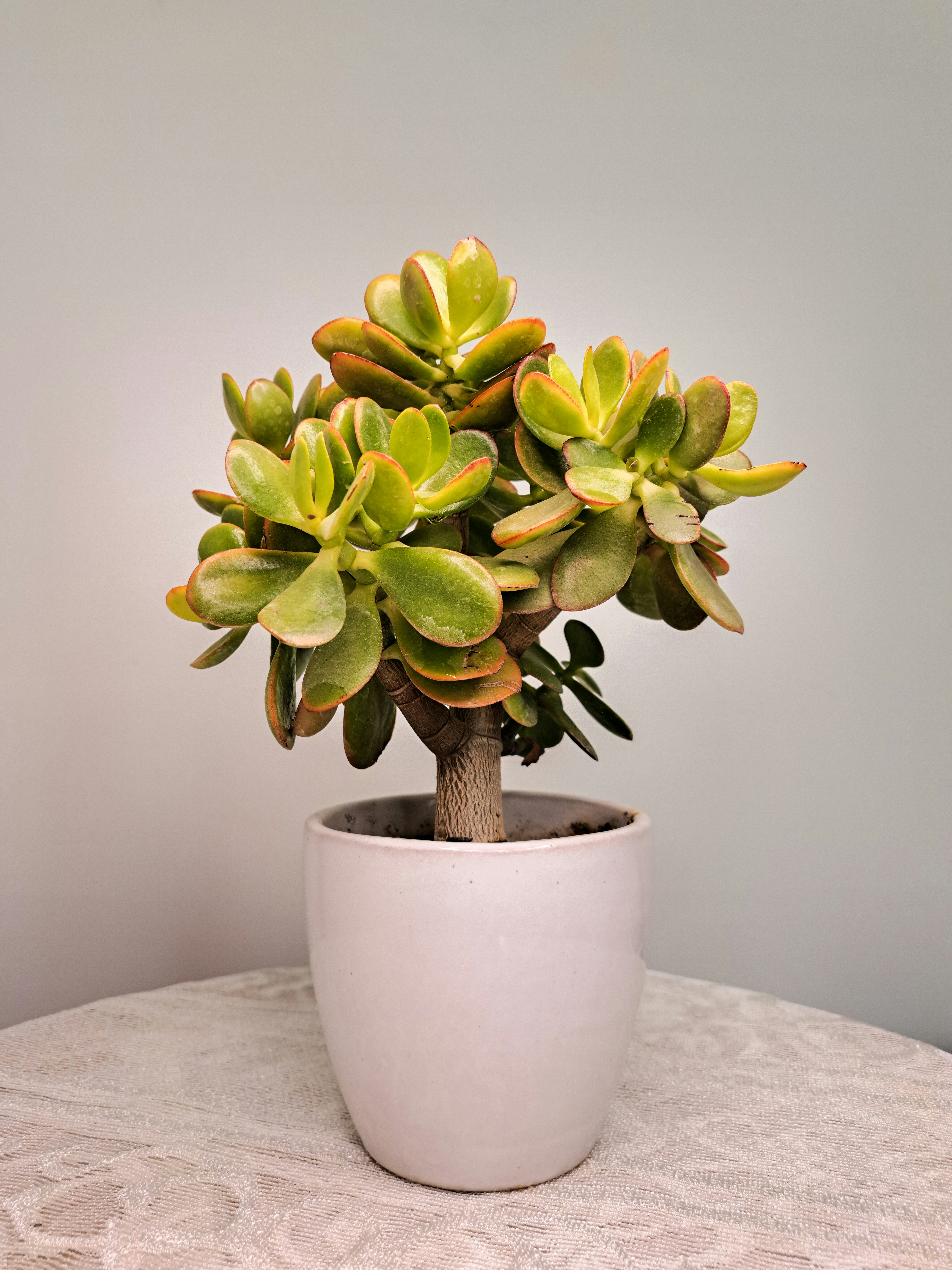 Photo by photo_setayesh